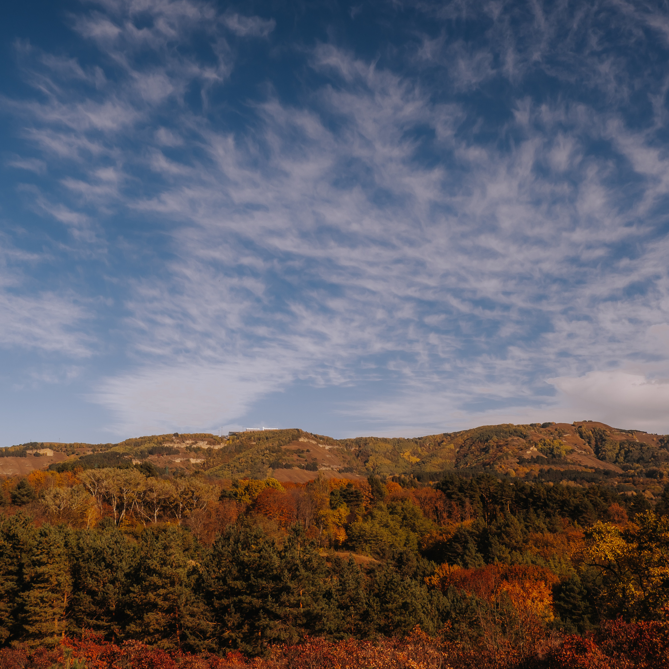 КМВ (октябрь 2021)