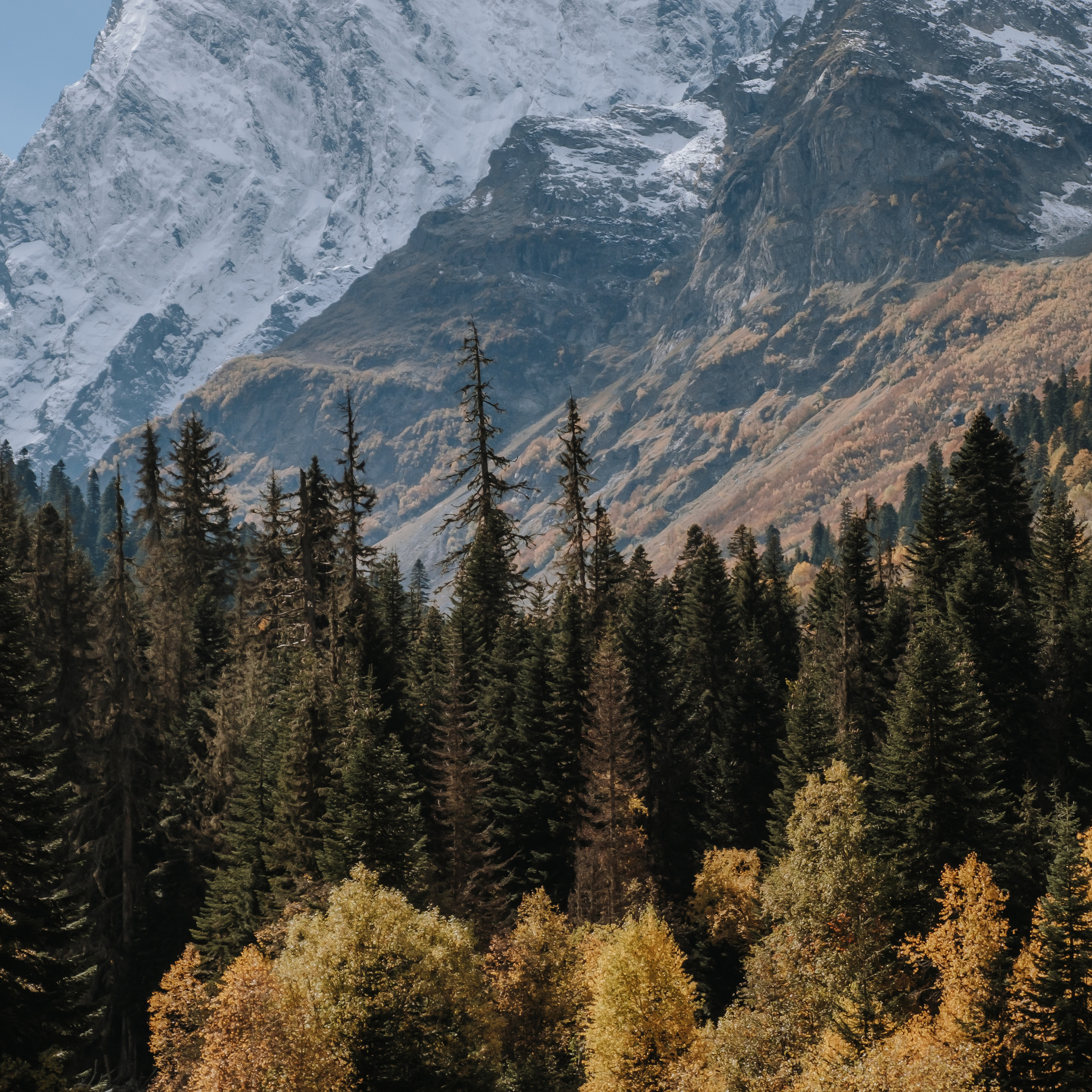 КМВ (октябрь 2021)