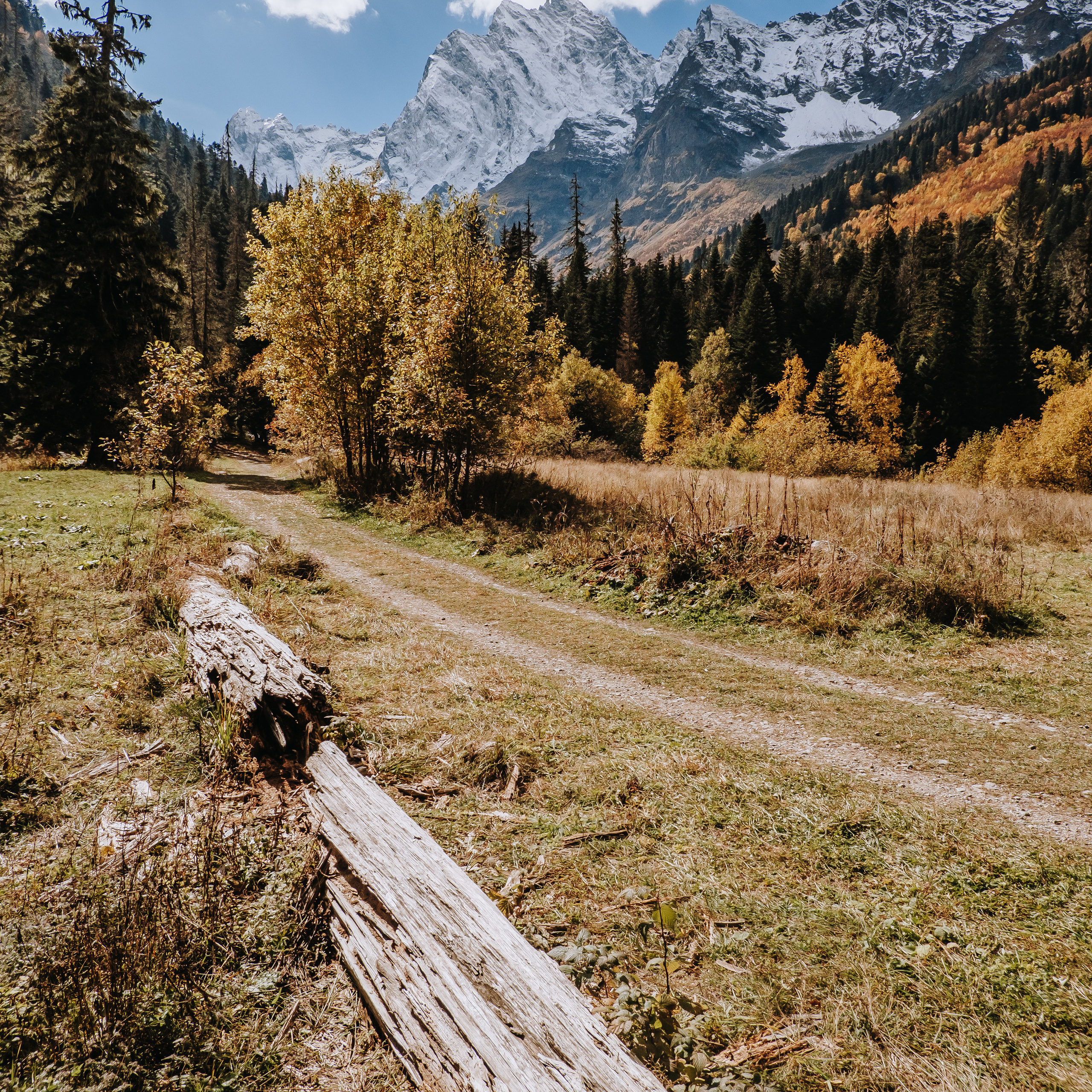 КМВ (октябрь 2021)