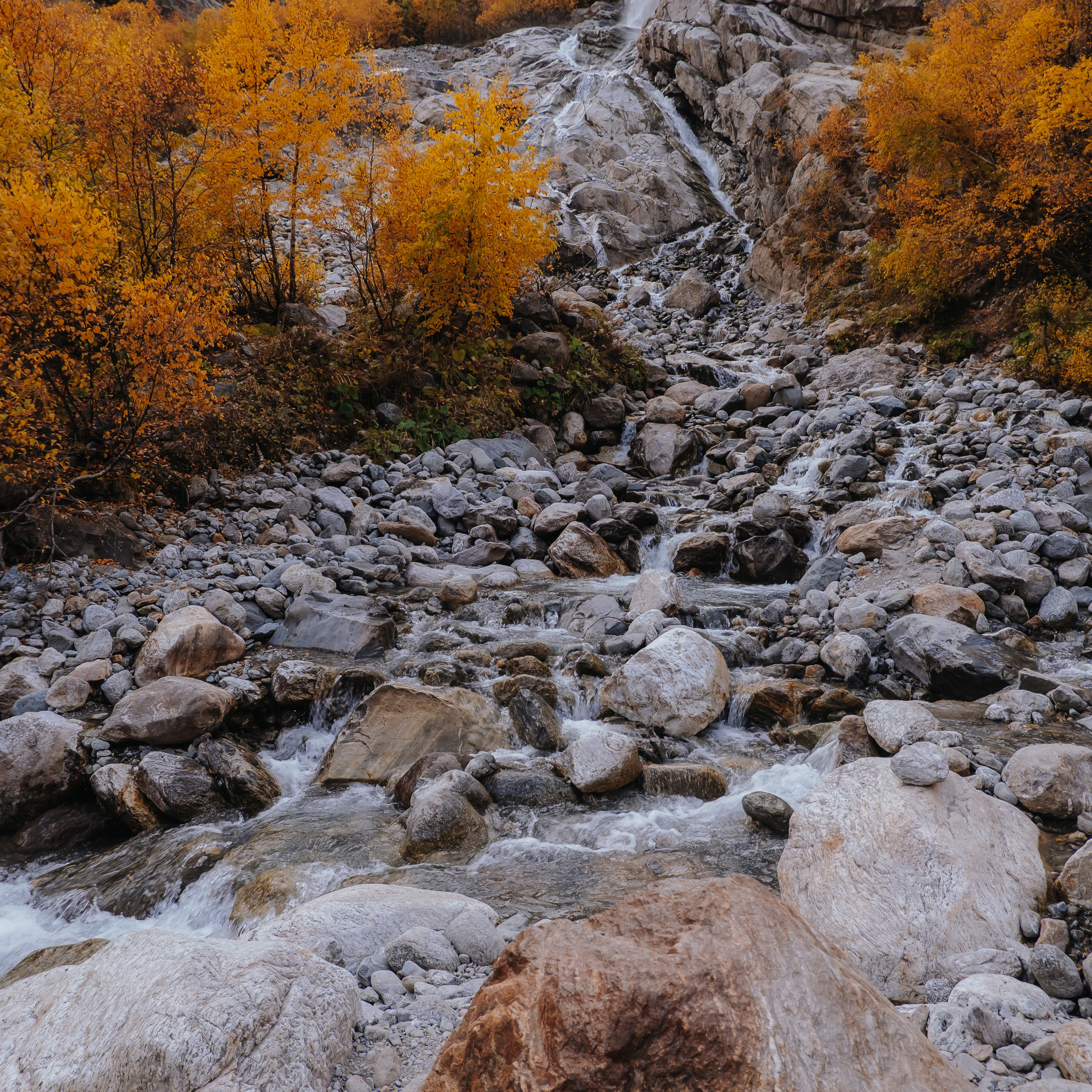 КМВ (октябрь 2021)