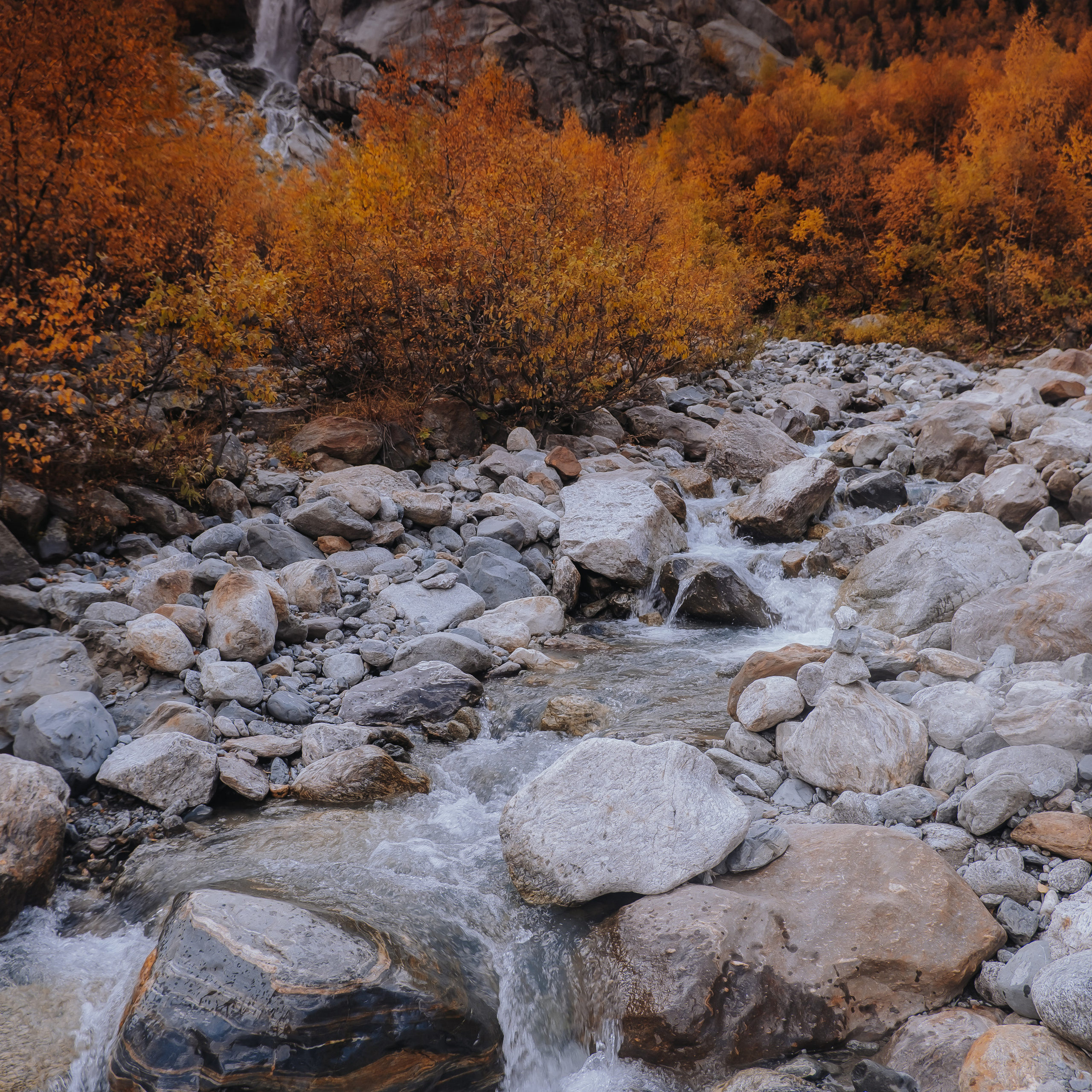 КМВ (октябрь 2021)