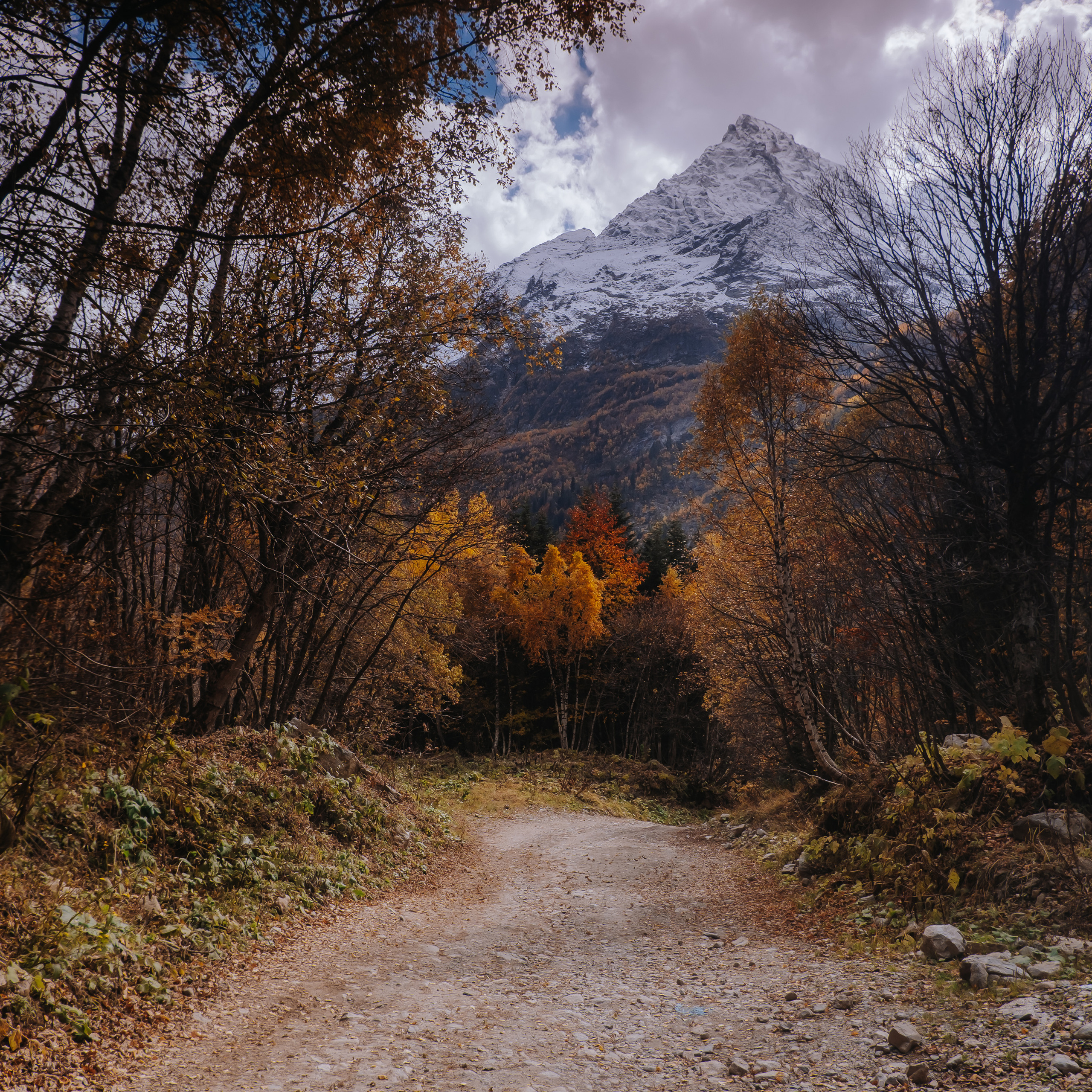 КМВ (октябрь 2021)