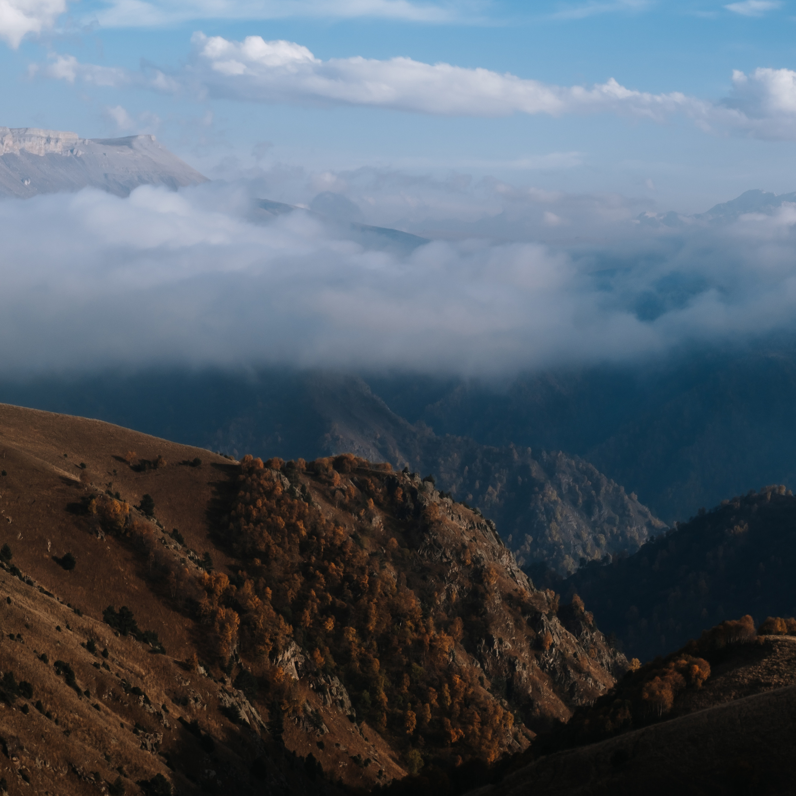 КМВ (октябрь 2021)