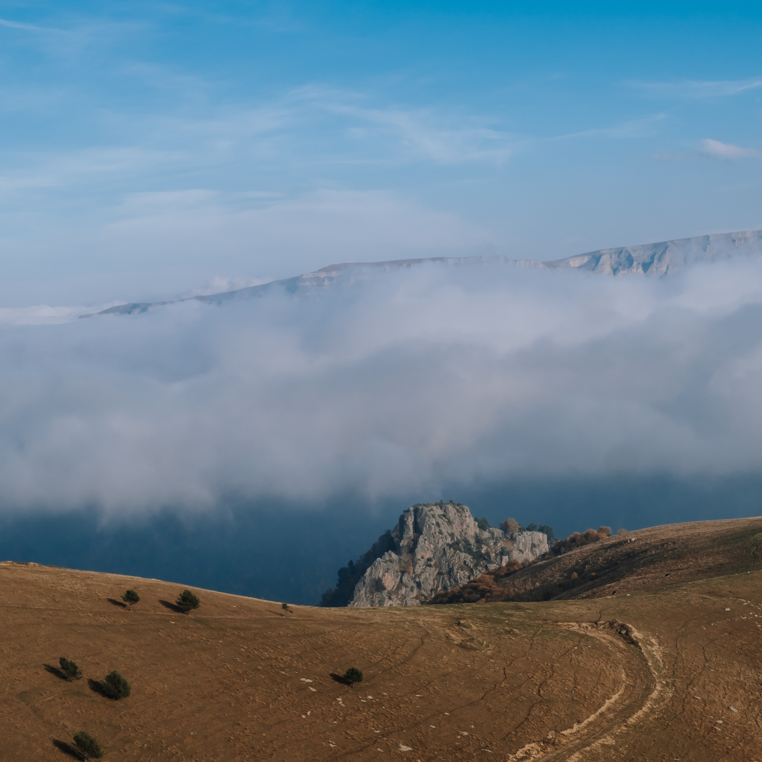 КМВ (октябрь 2021)