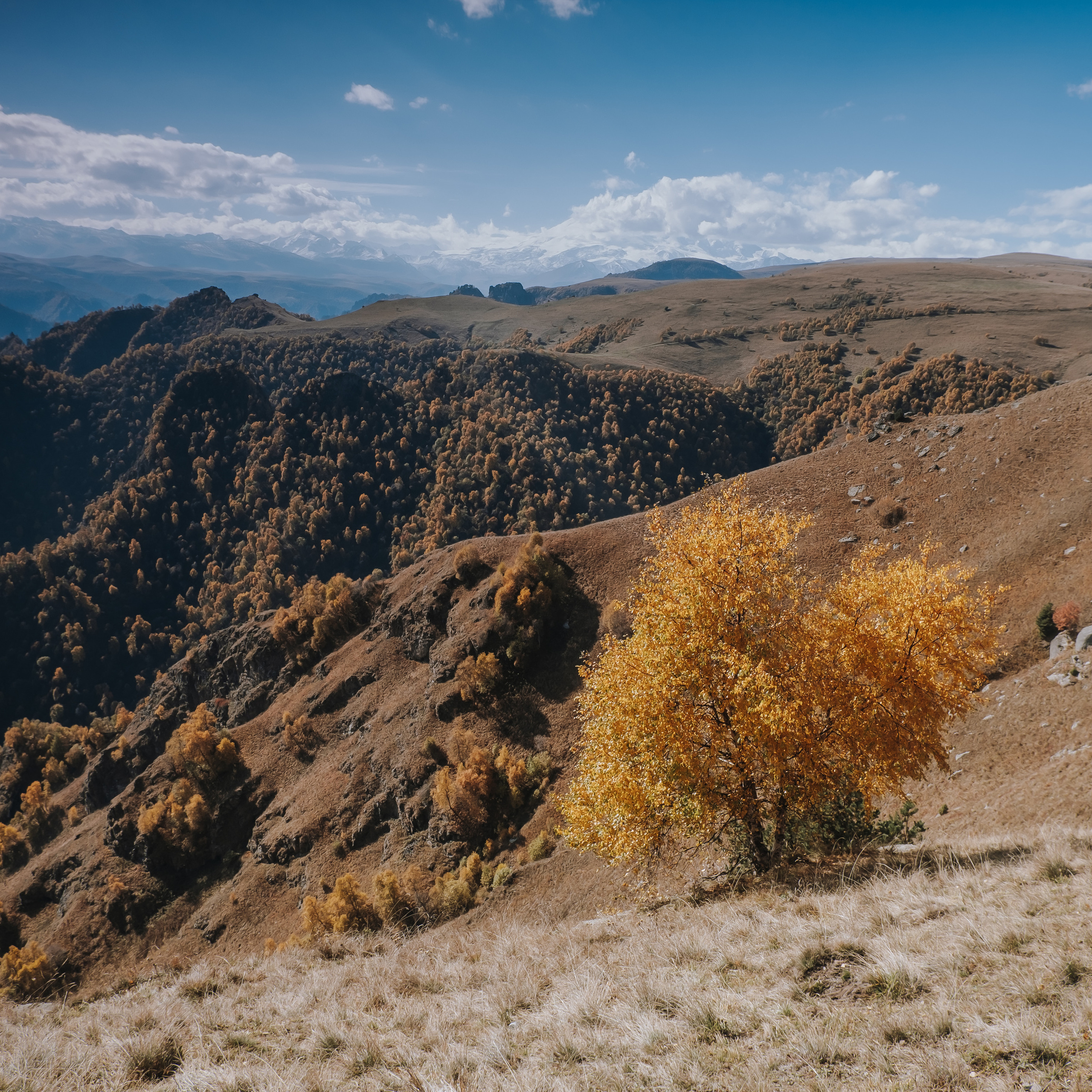 КМВ (октябрь 2021)