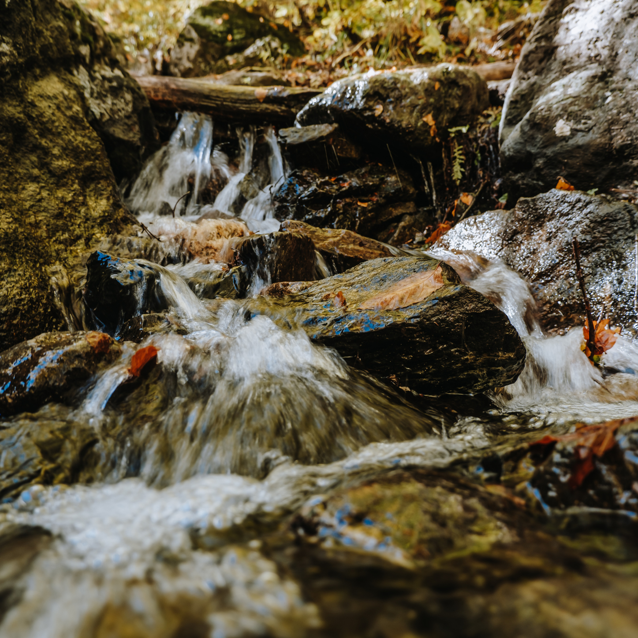 КМВ (октябрь 2021)