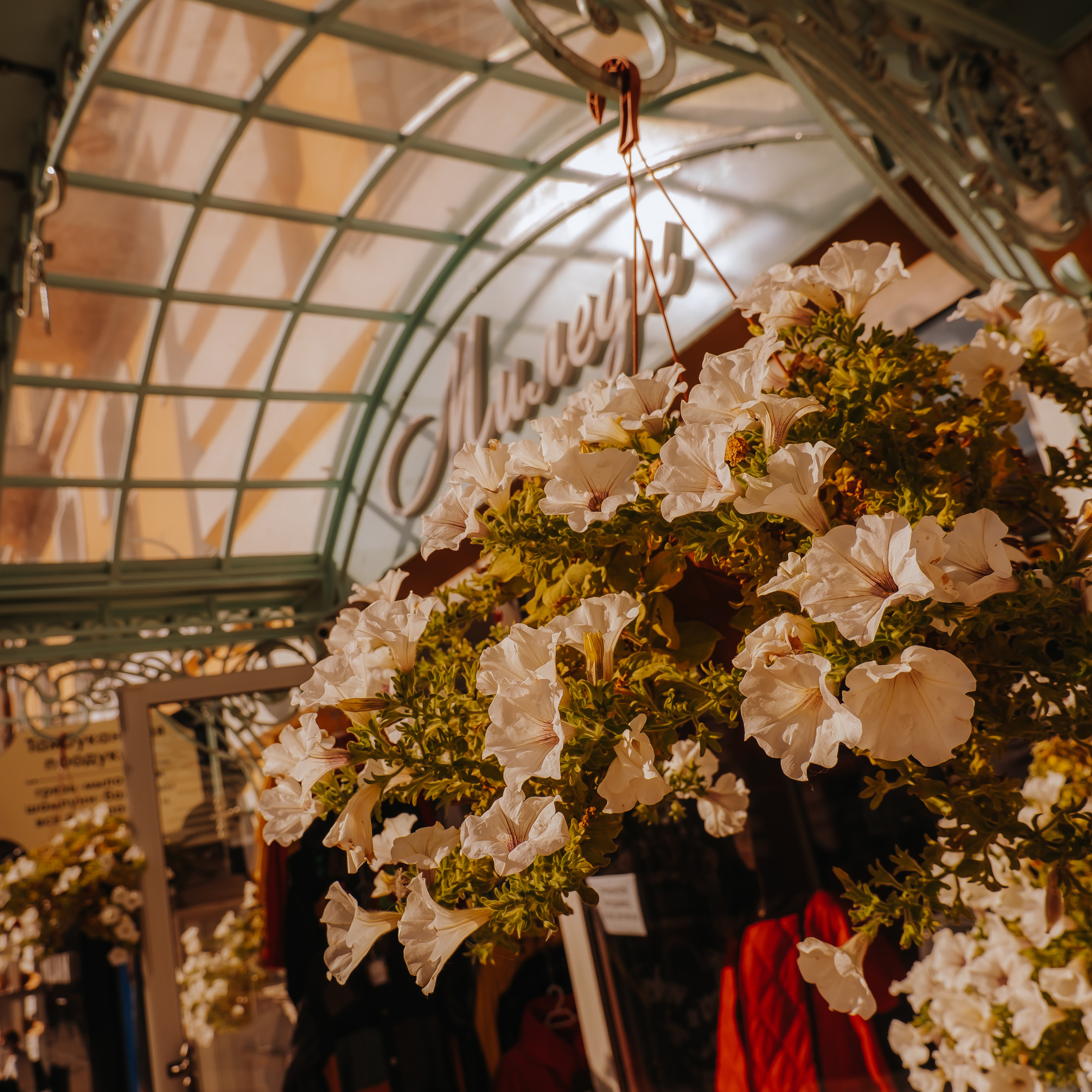 КМВ (октябрь 2021)