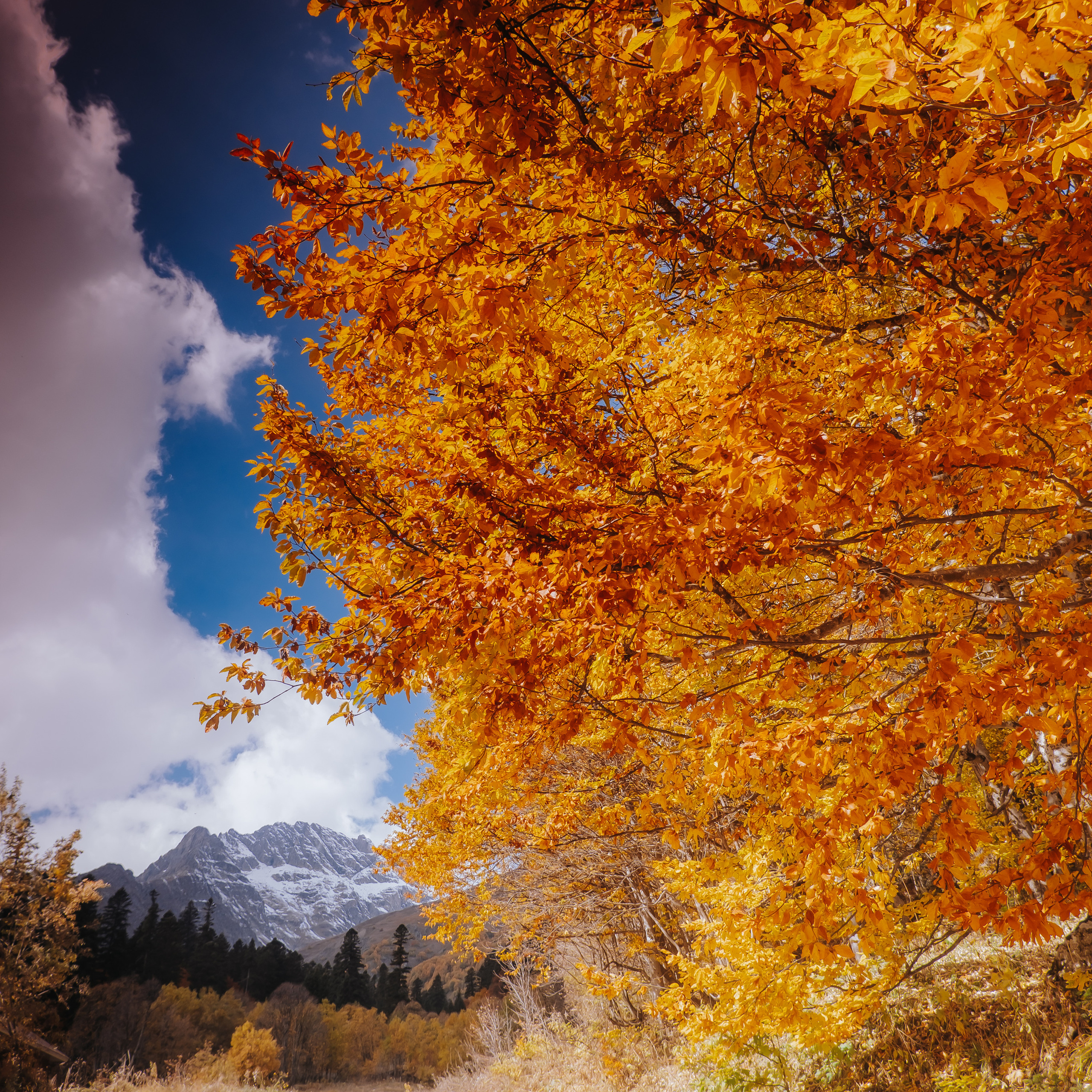 КМВ (октябрь 2021)