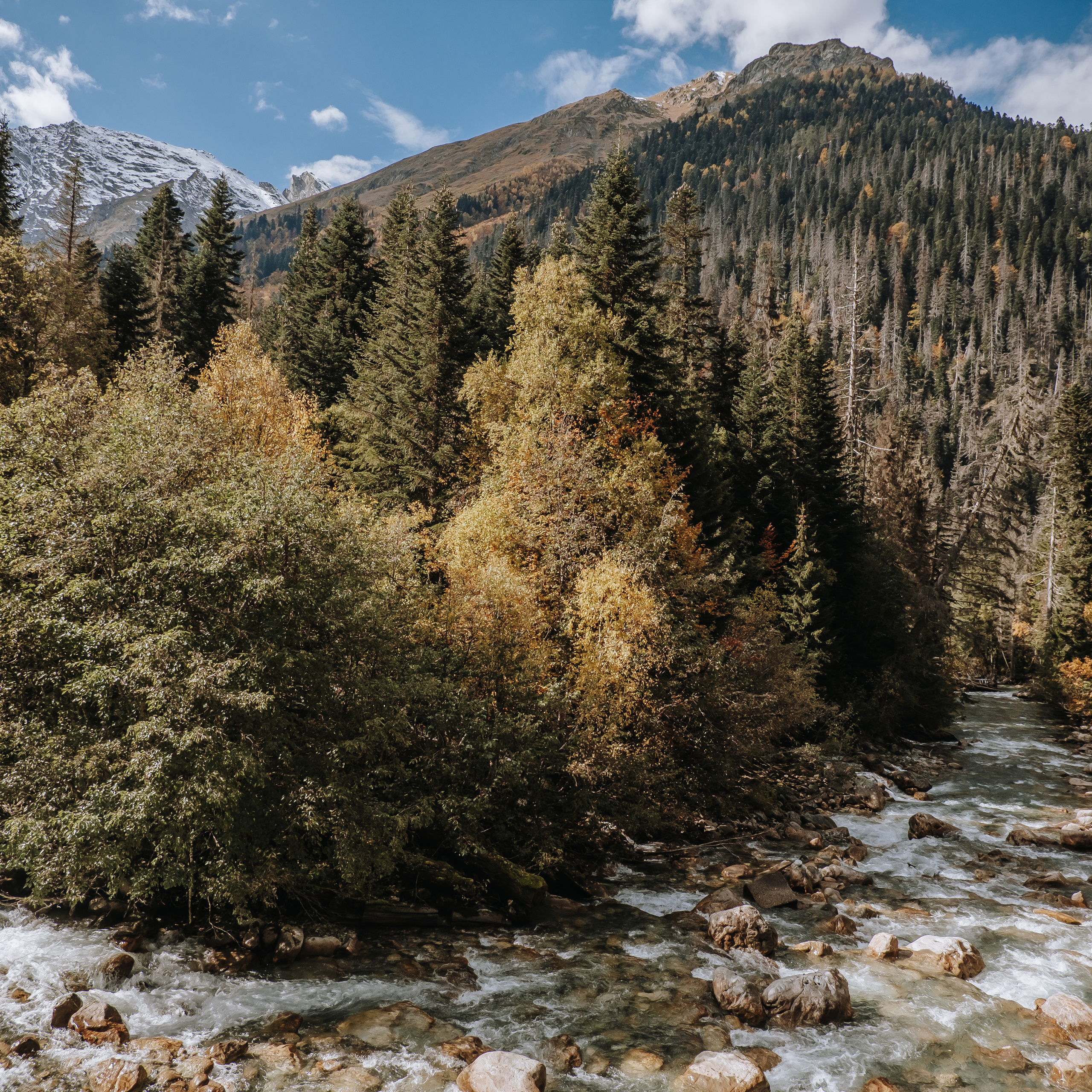 КМВ (октябрь 2021)