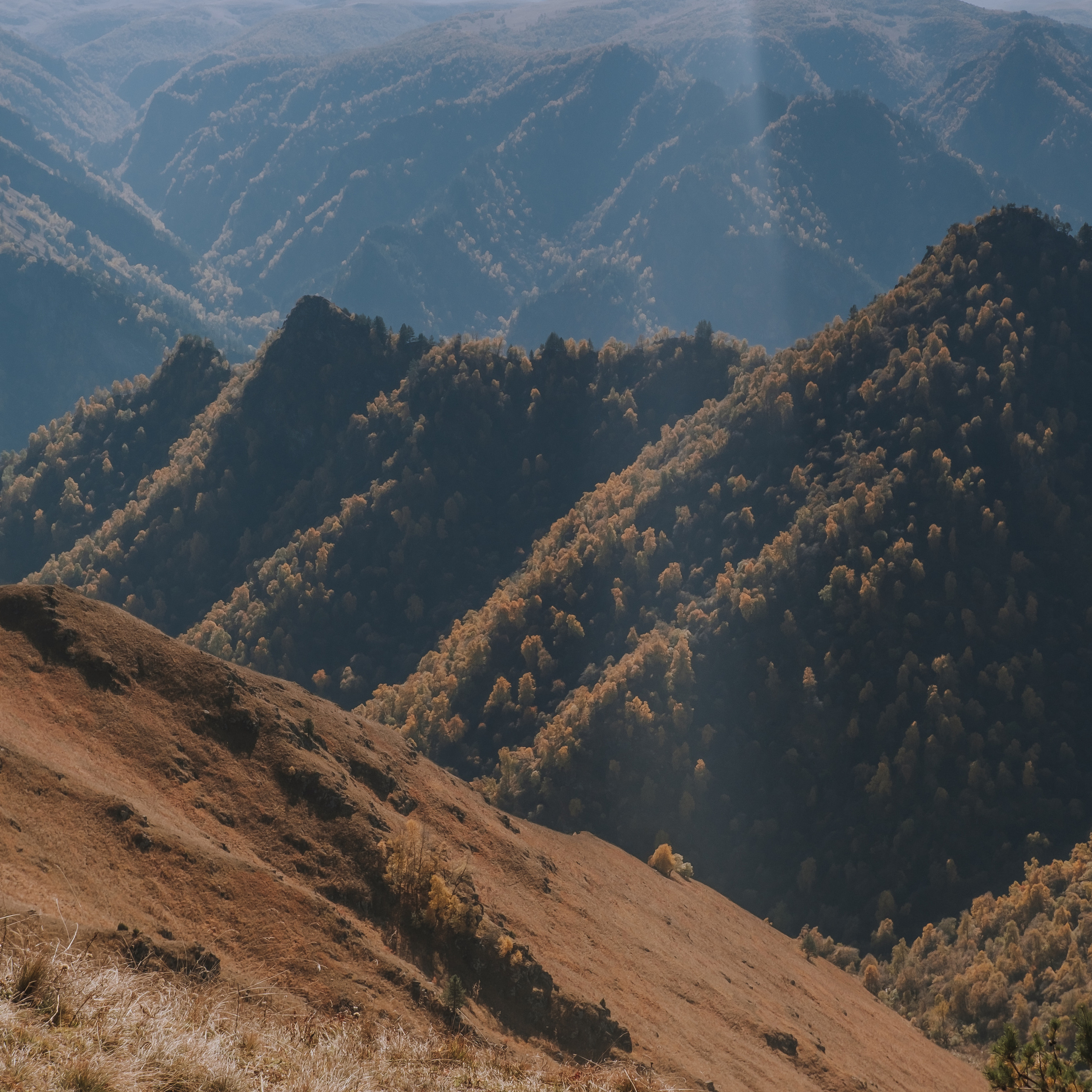 КМВ (октябрь 2021)