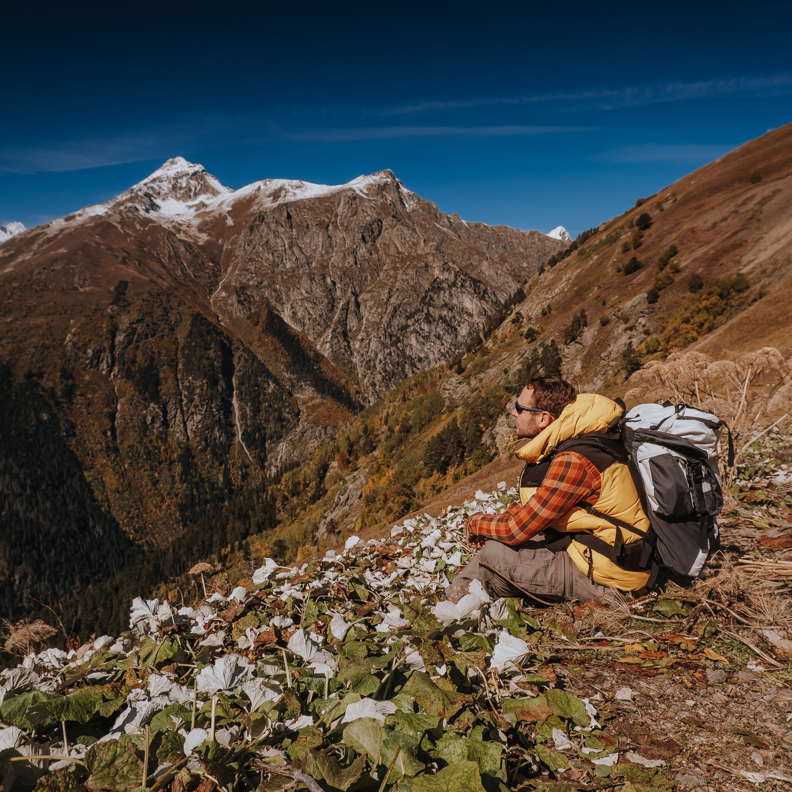 КМВ (октябрь 2021)