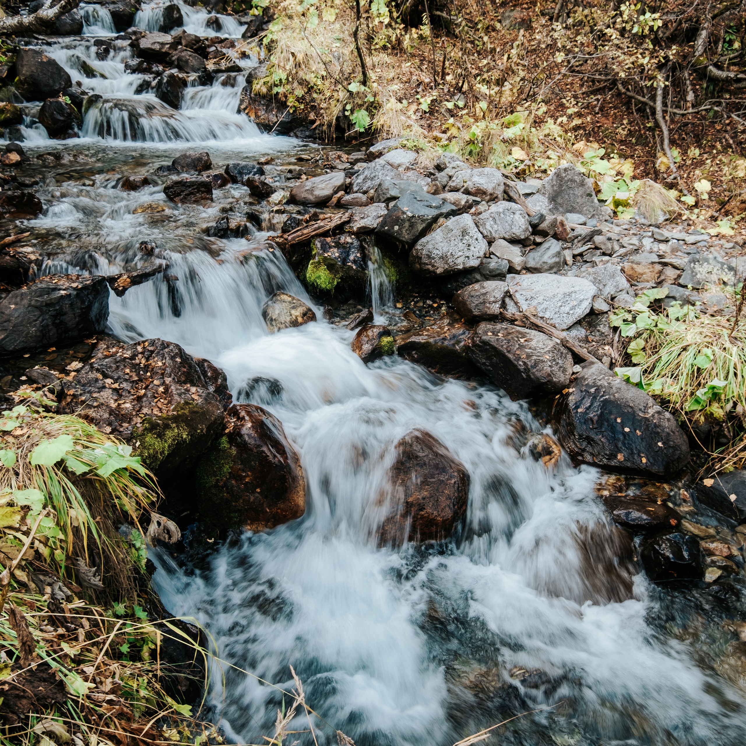 КМВ (октябрь 2021)