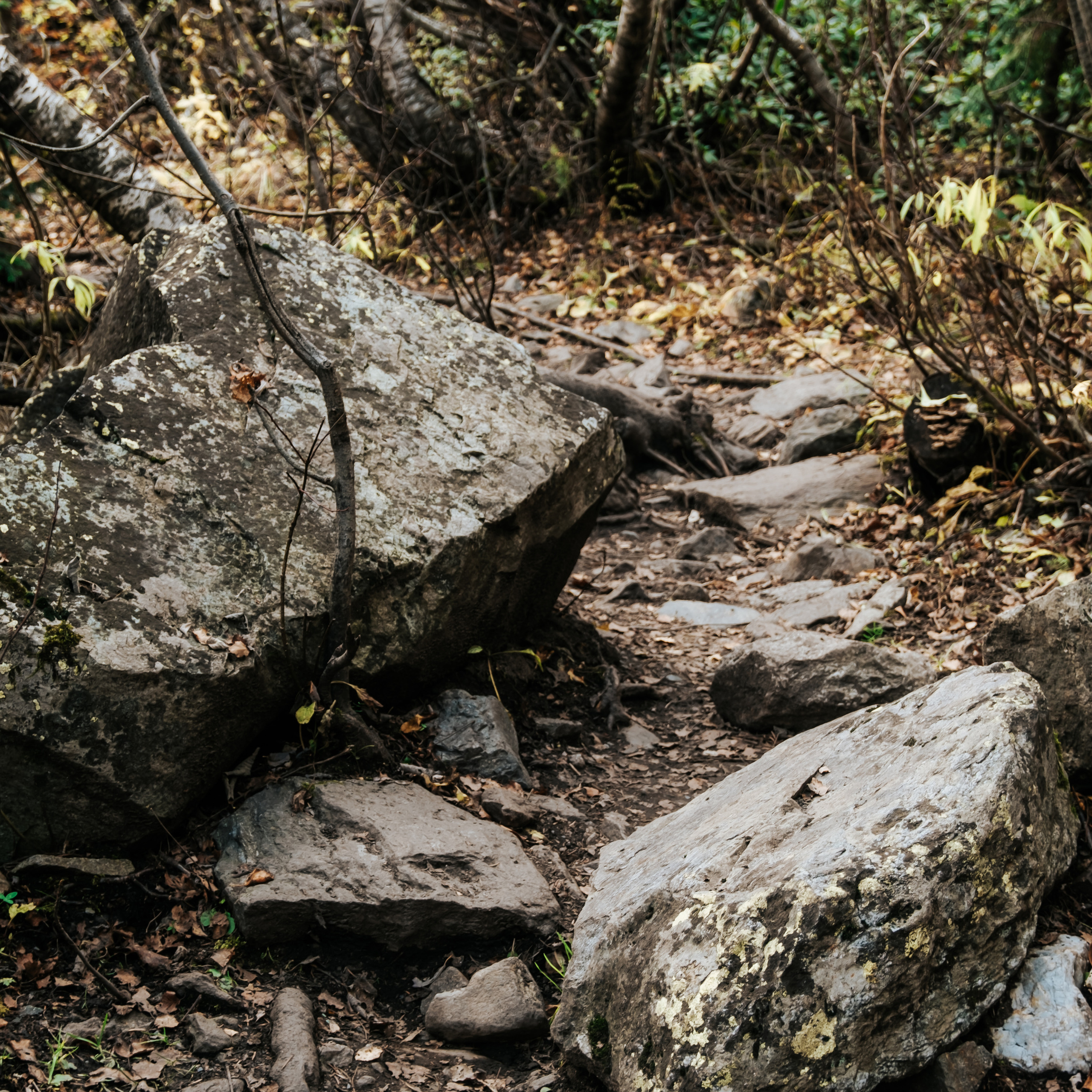 КМВ (октябрь 2021)