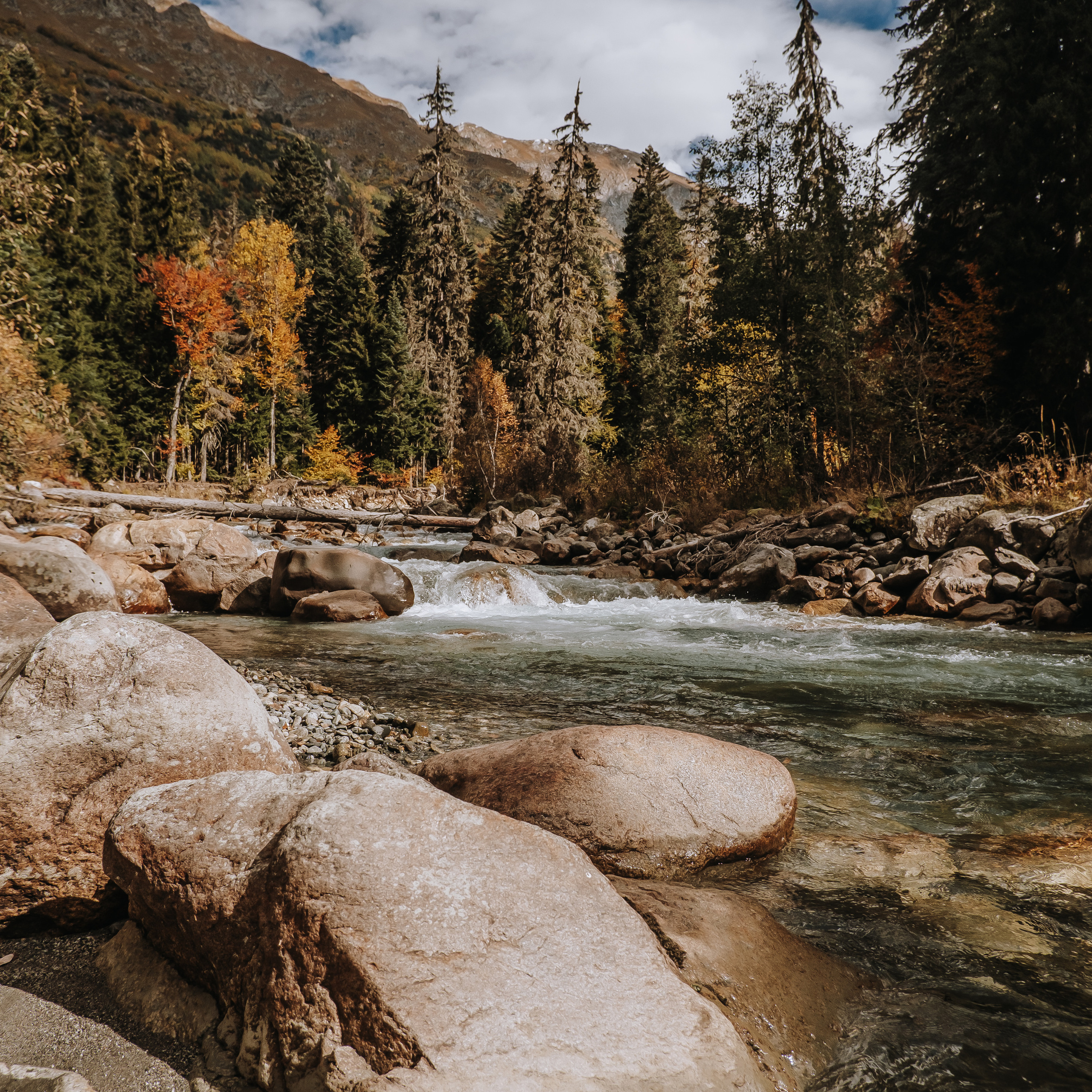 КМВ (октябрь 2021)