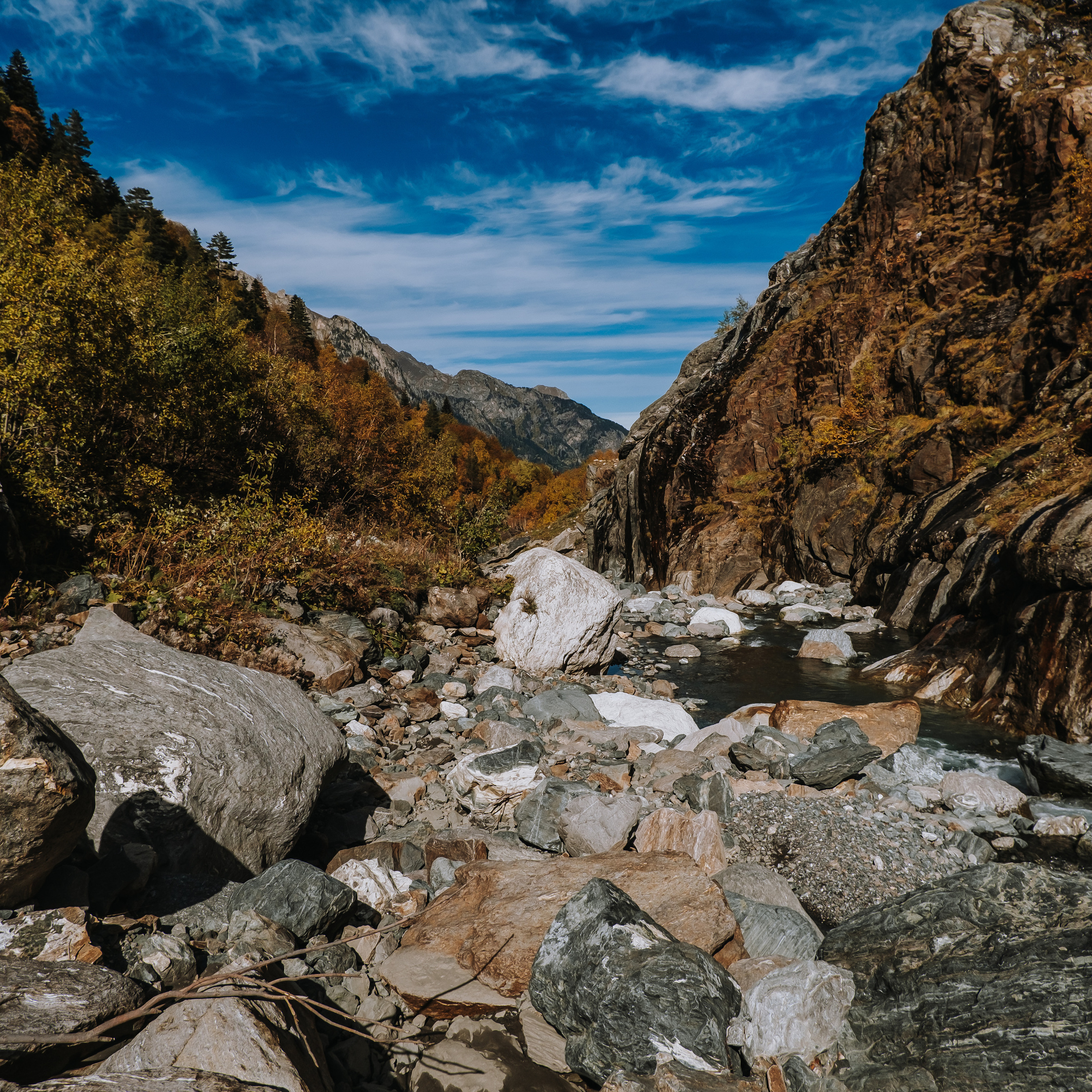 КМВ (октябрь 2021)