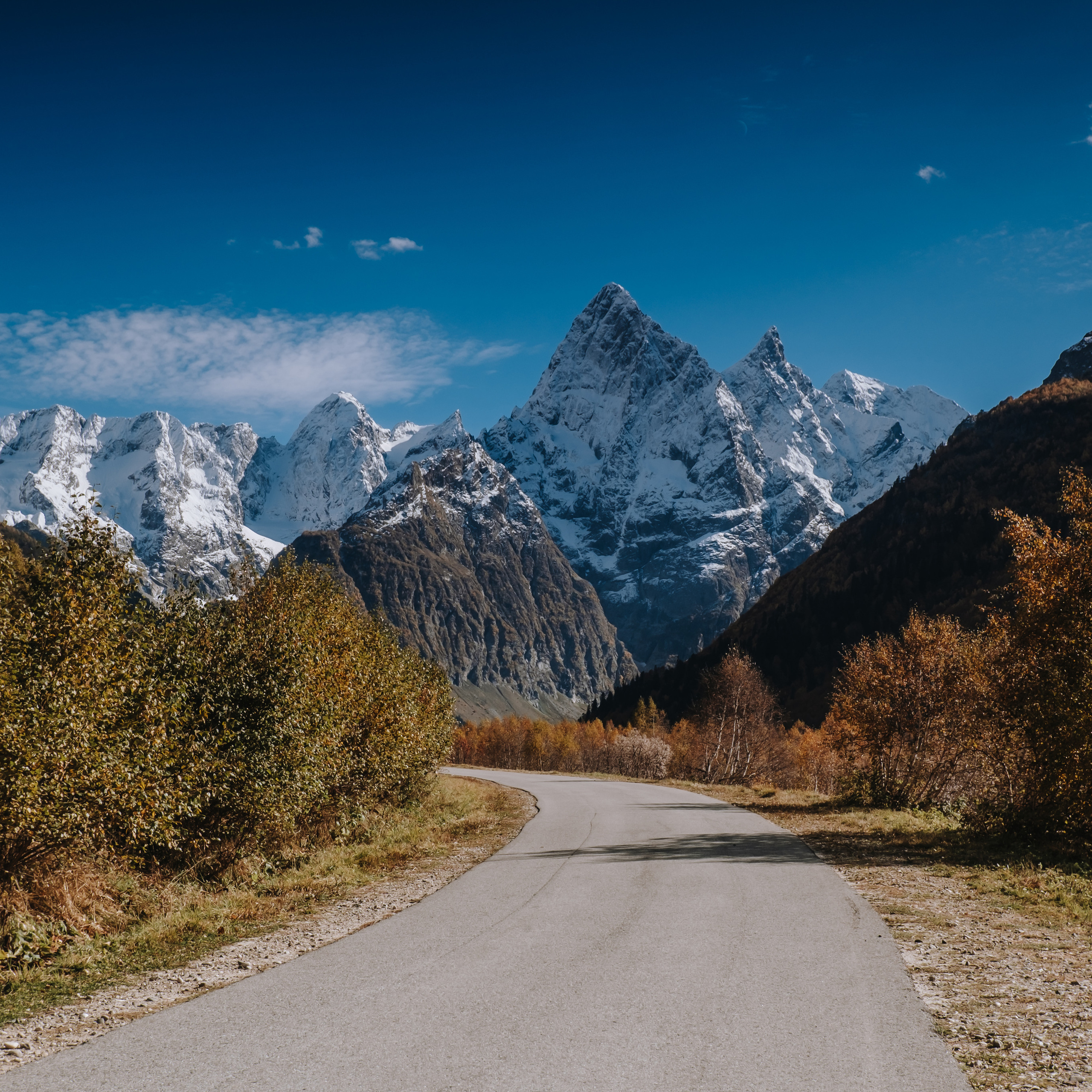 КМВ (октябрь 2021)