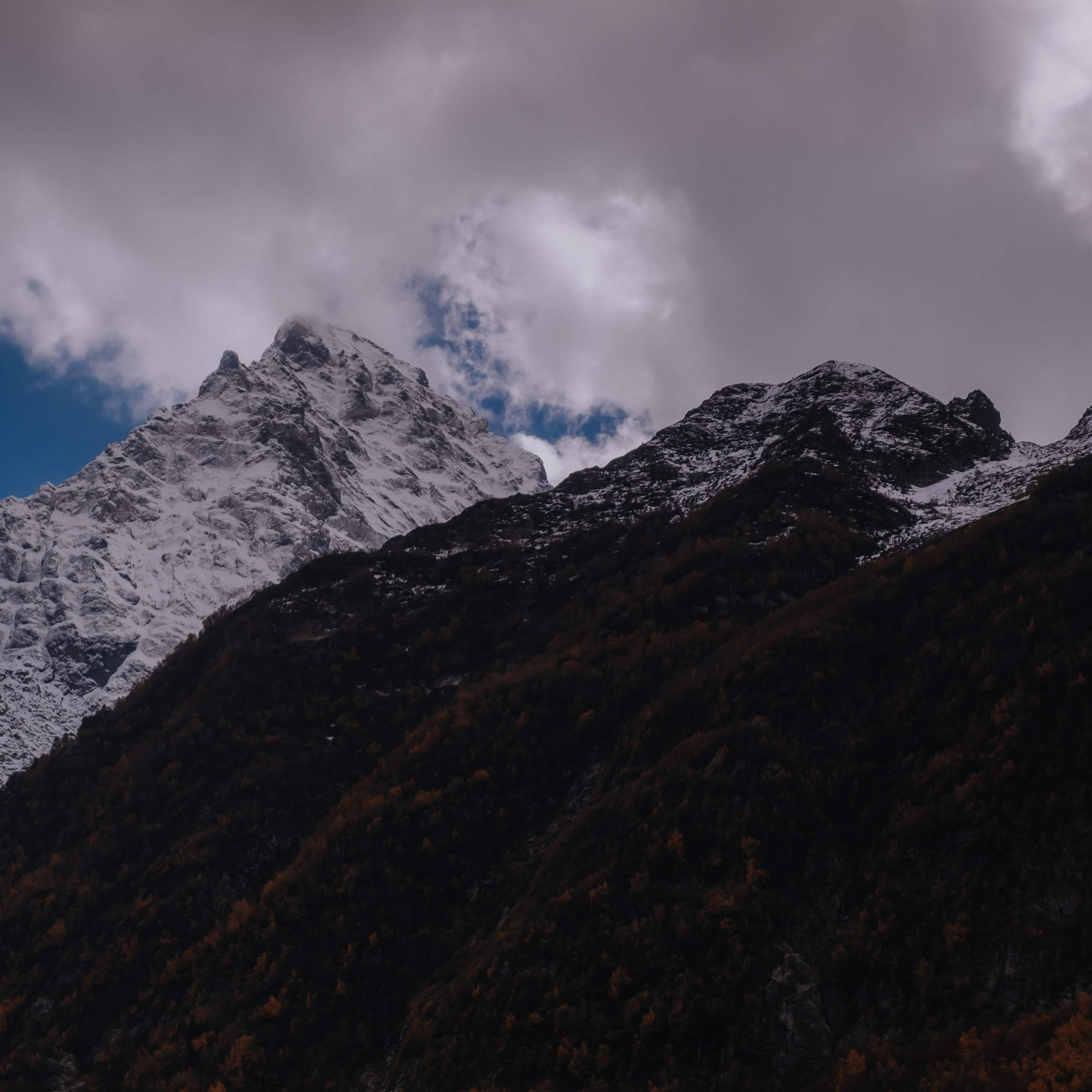 КМВ (октябрь 2021)