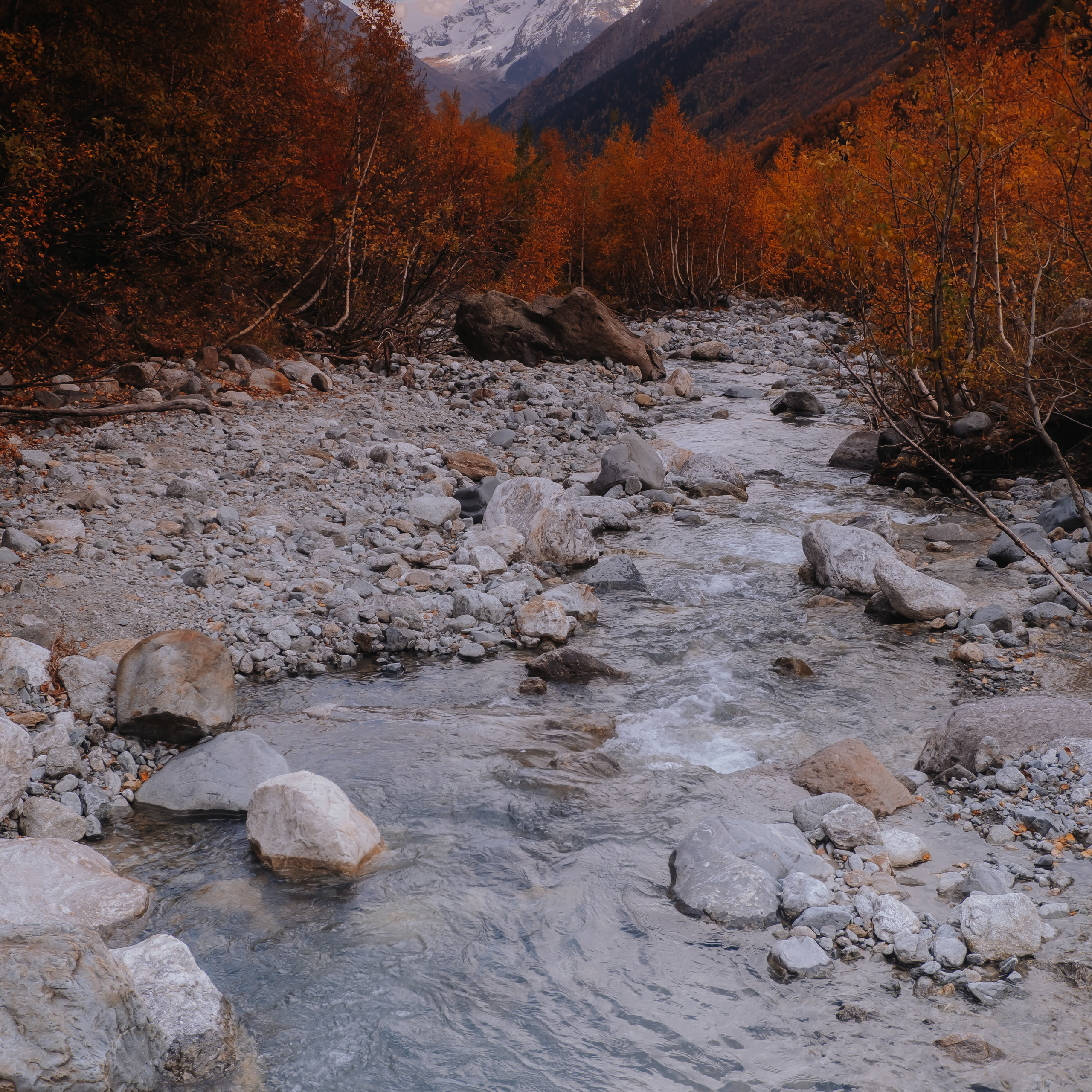 КМВ (октябрь 2021)