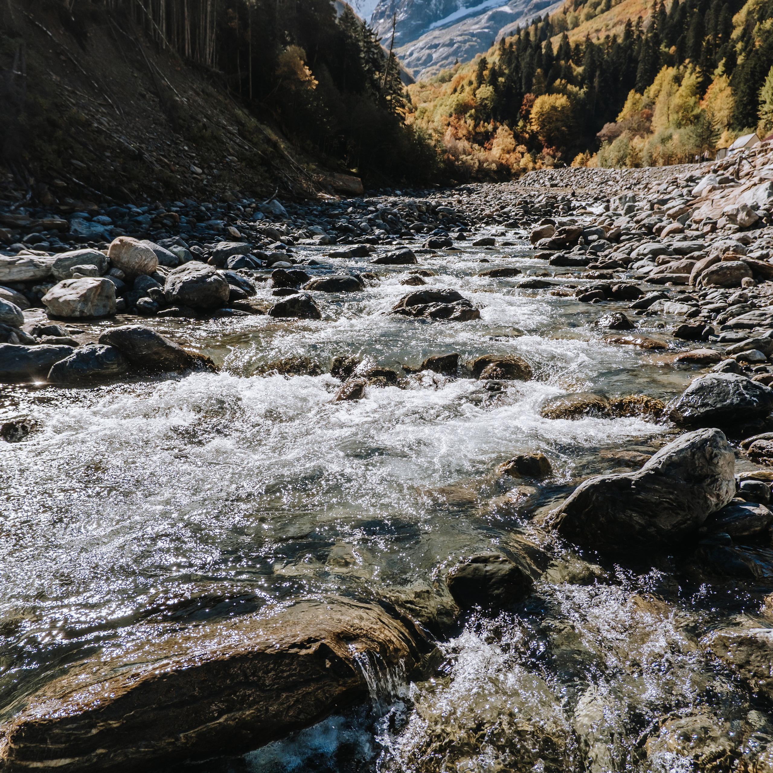 КМВ (октябрь 2021)