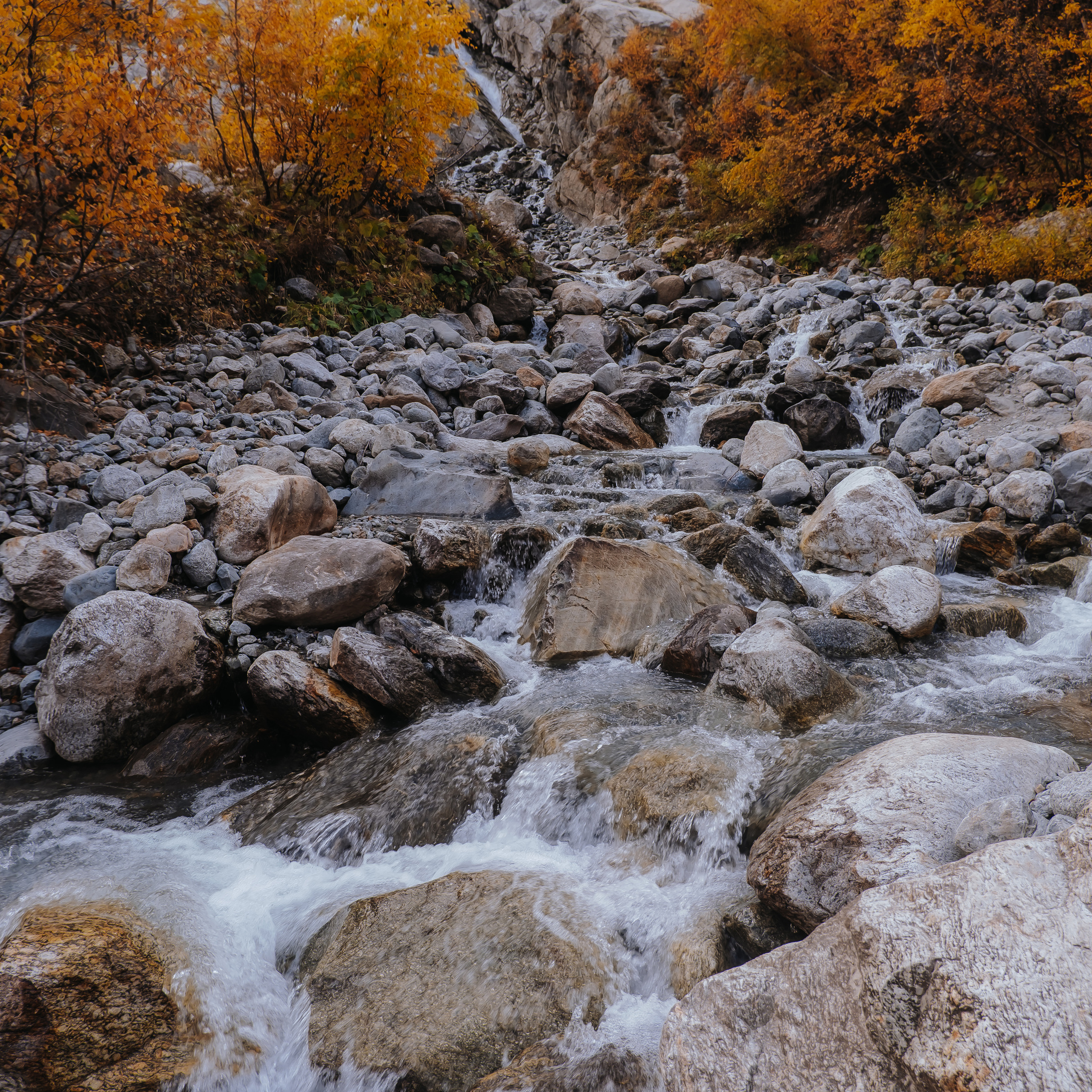 КМВ (октябрь 2021)