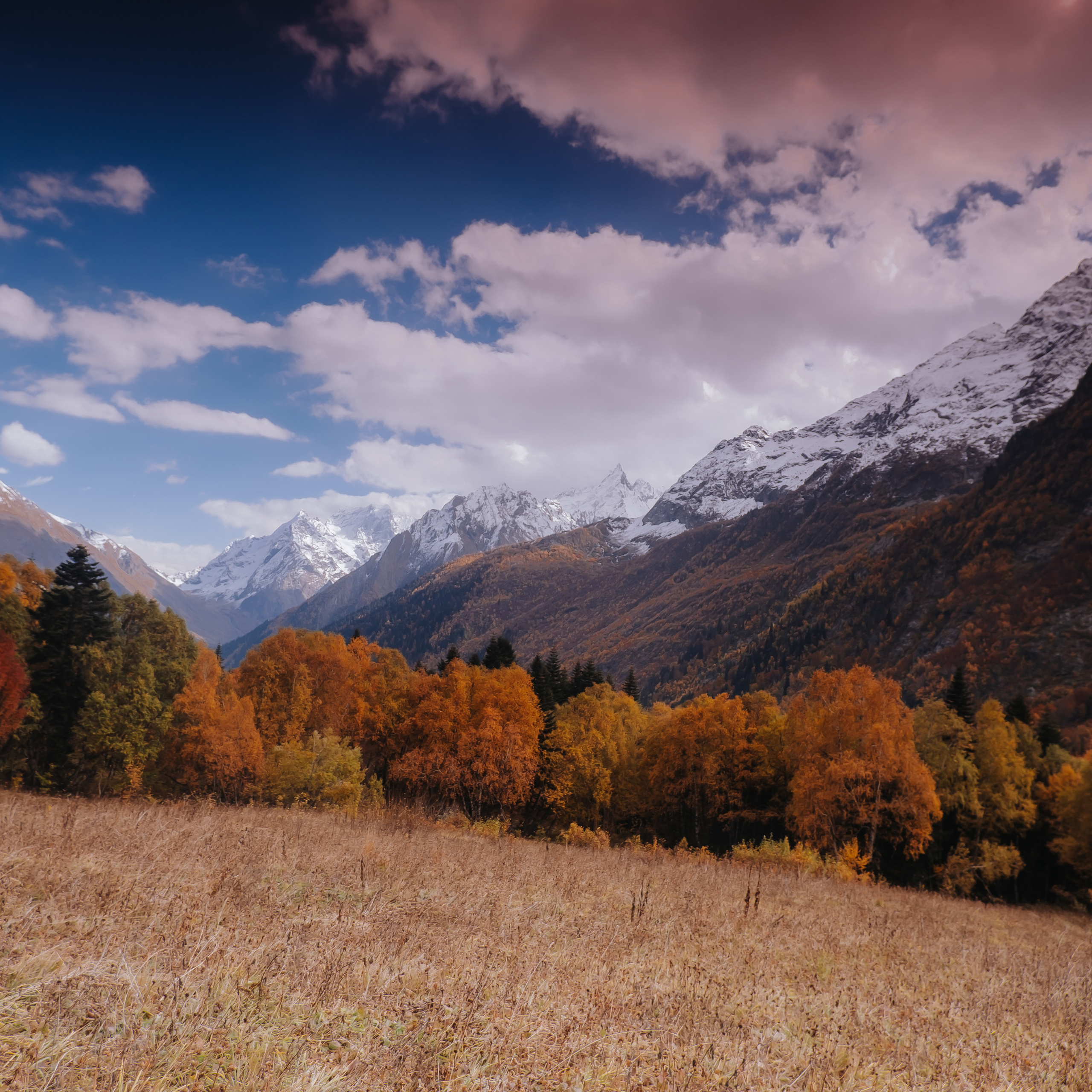 КМВ (октябрь 2021)