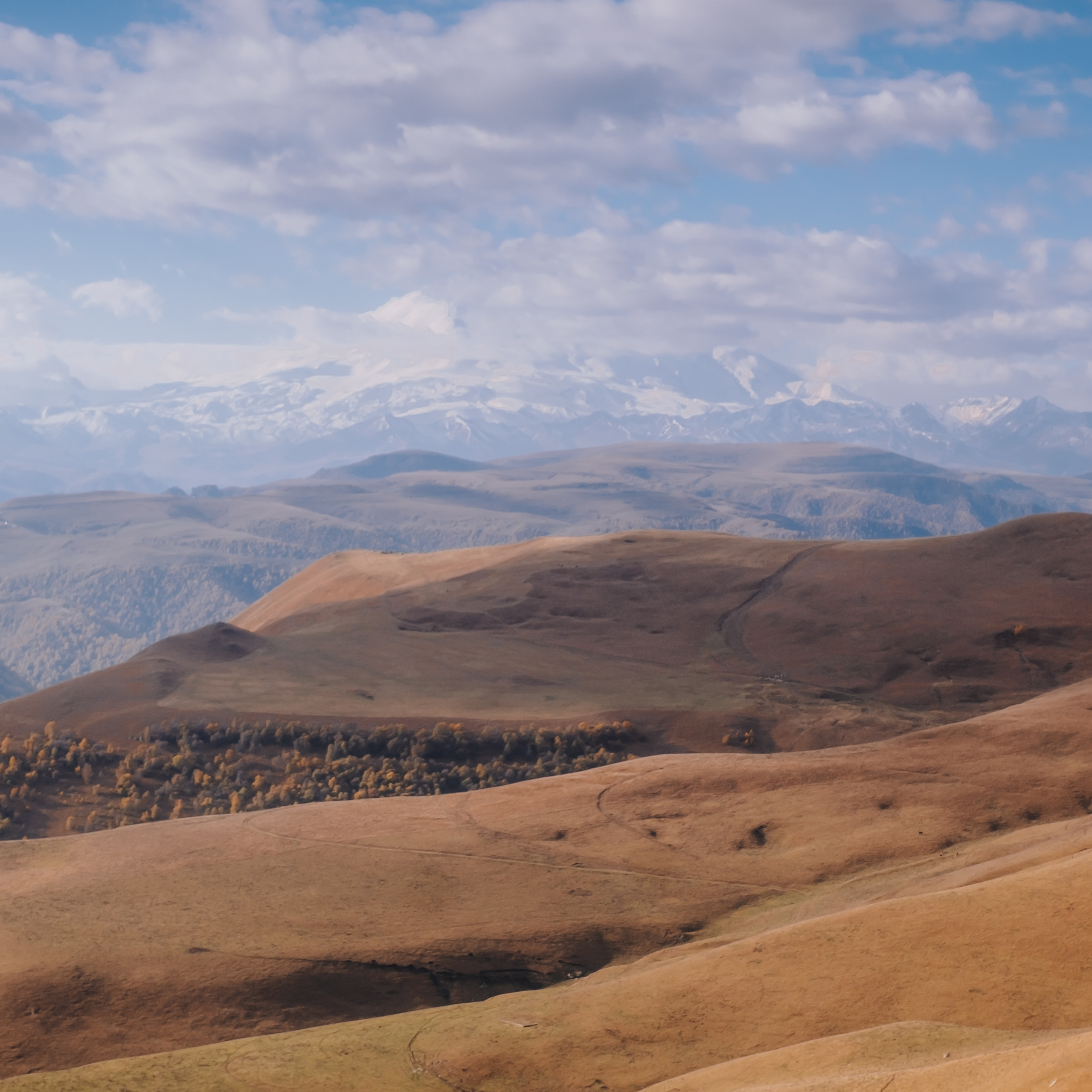 КМВ (октябрь 2021)