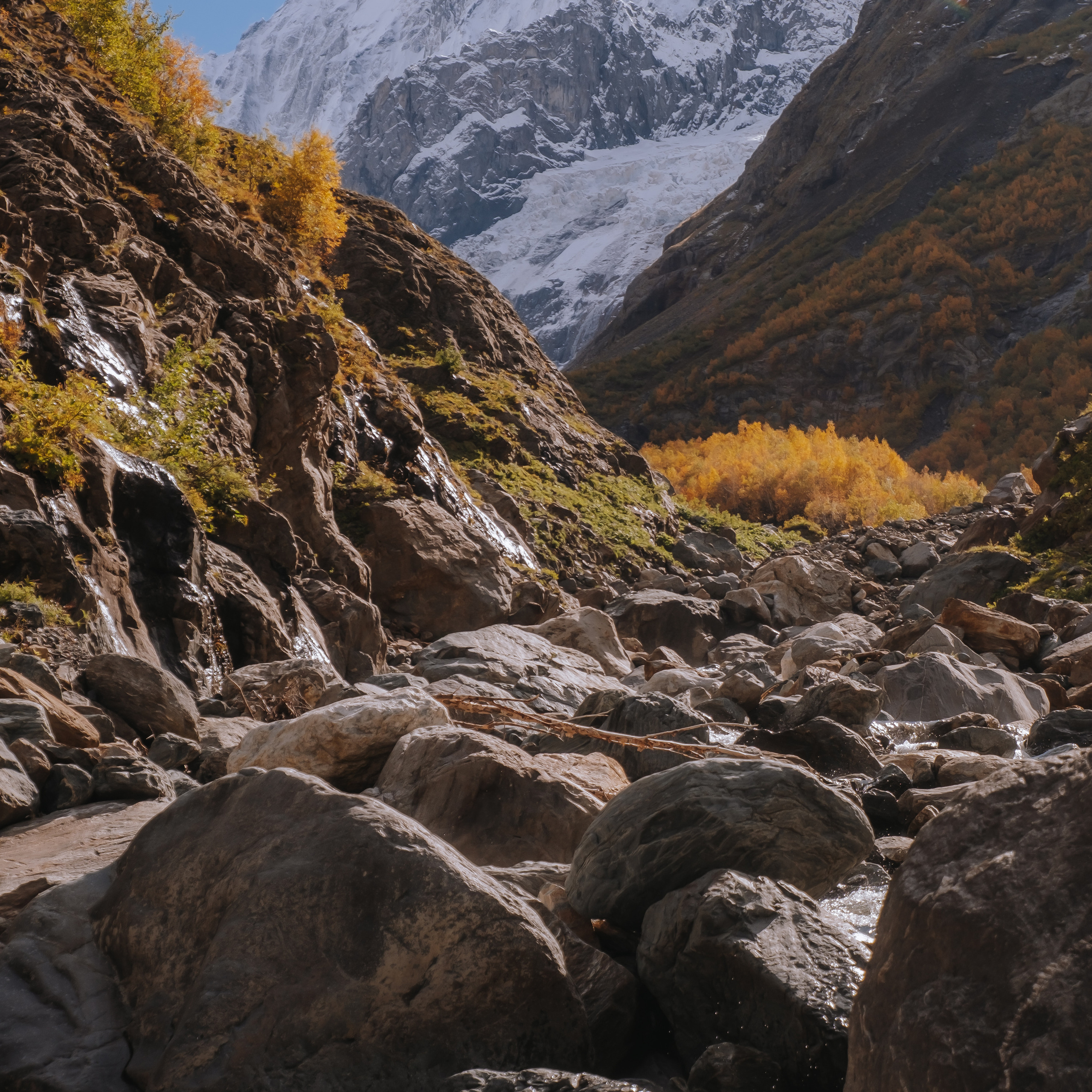 КМВ (октябрь 2021)