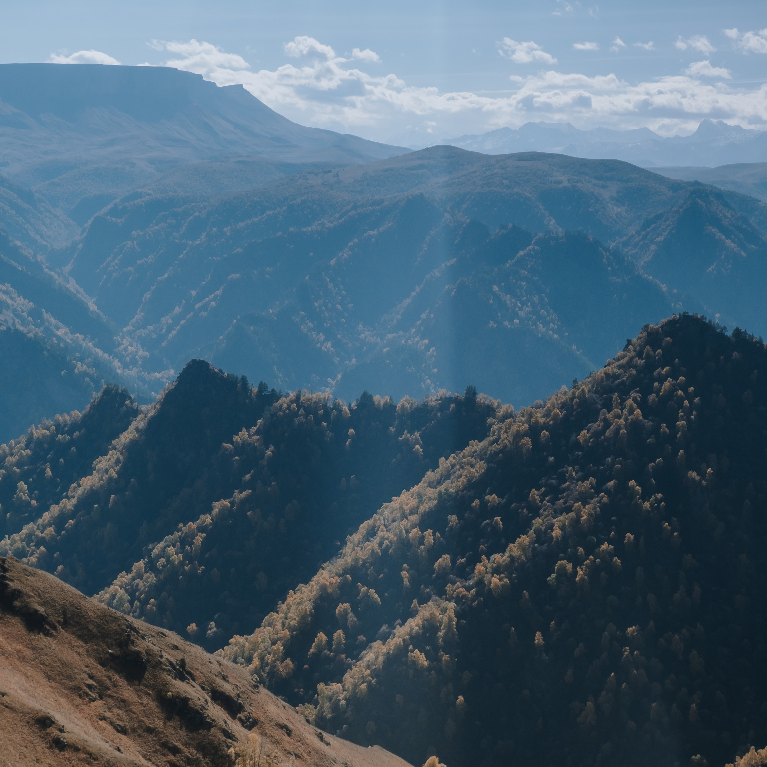 КМВ (октябрь 2021)