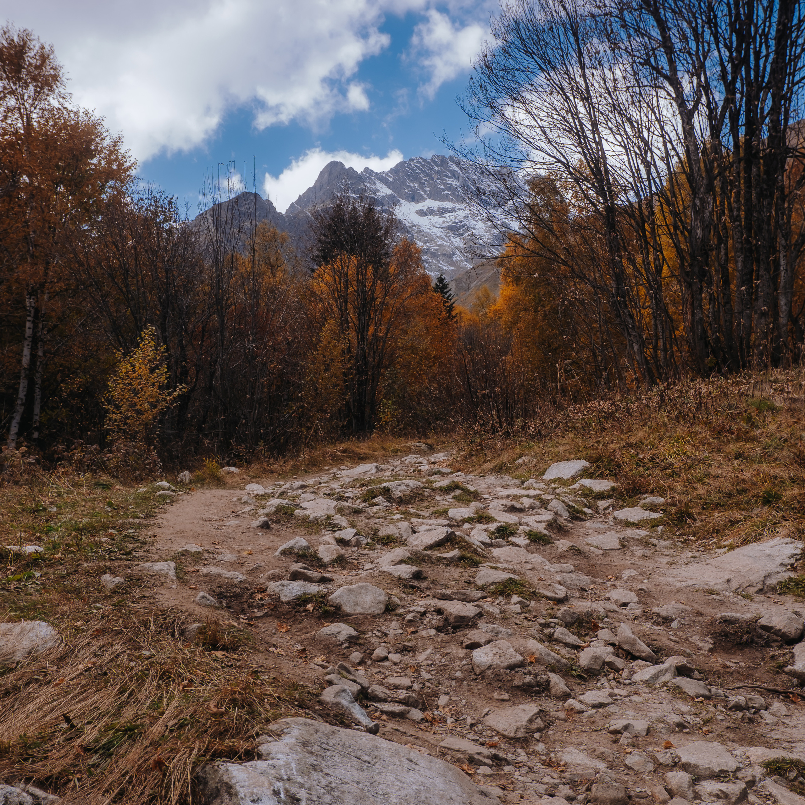 КМВ (октябрь 2021)