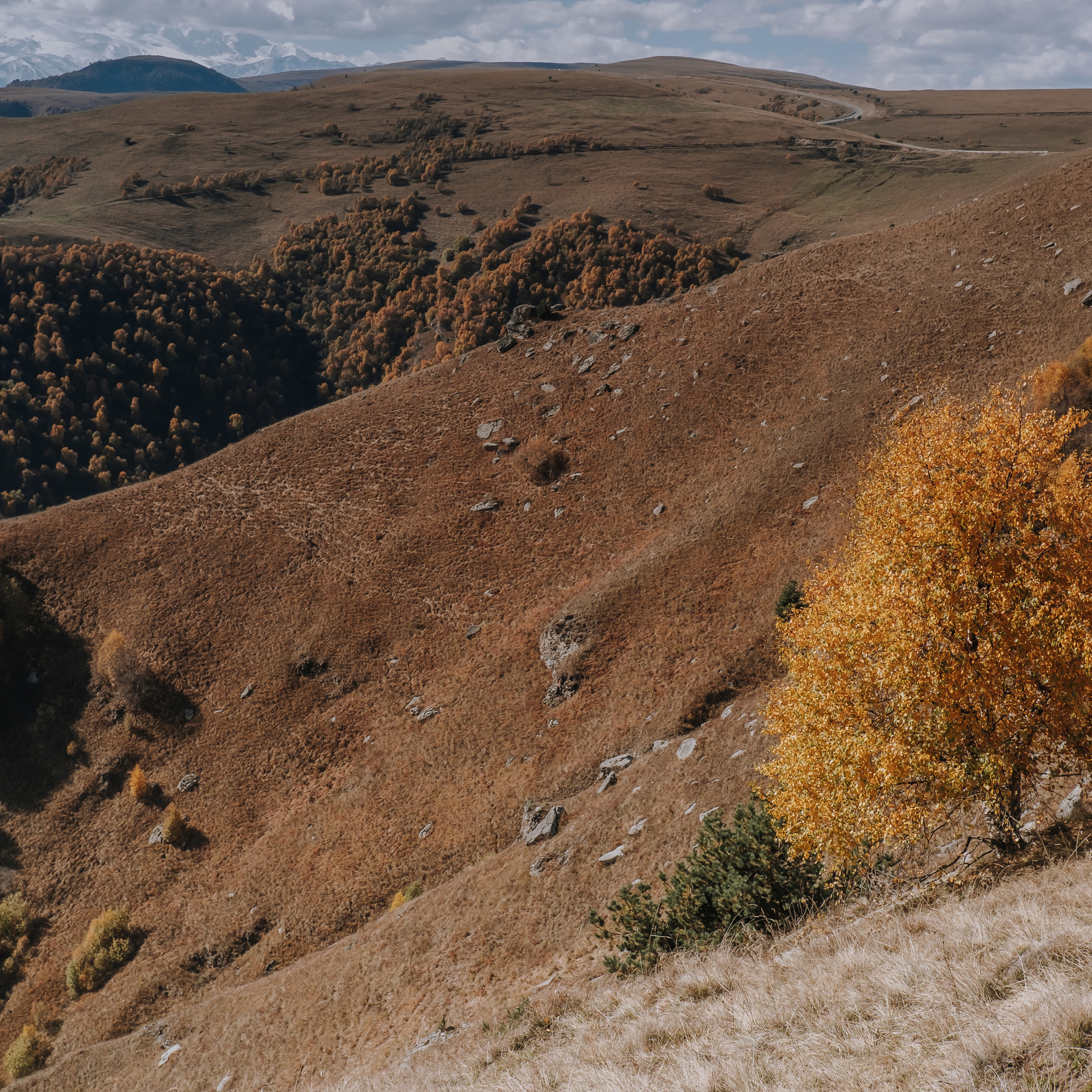 КМВ (октябрь 2021)