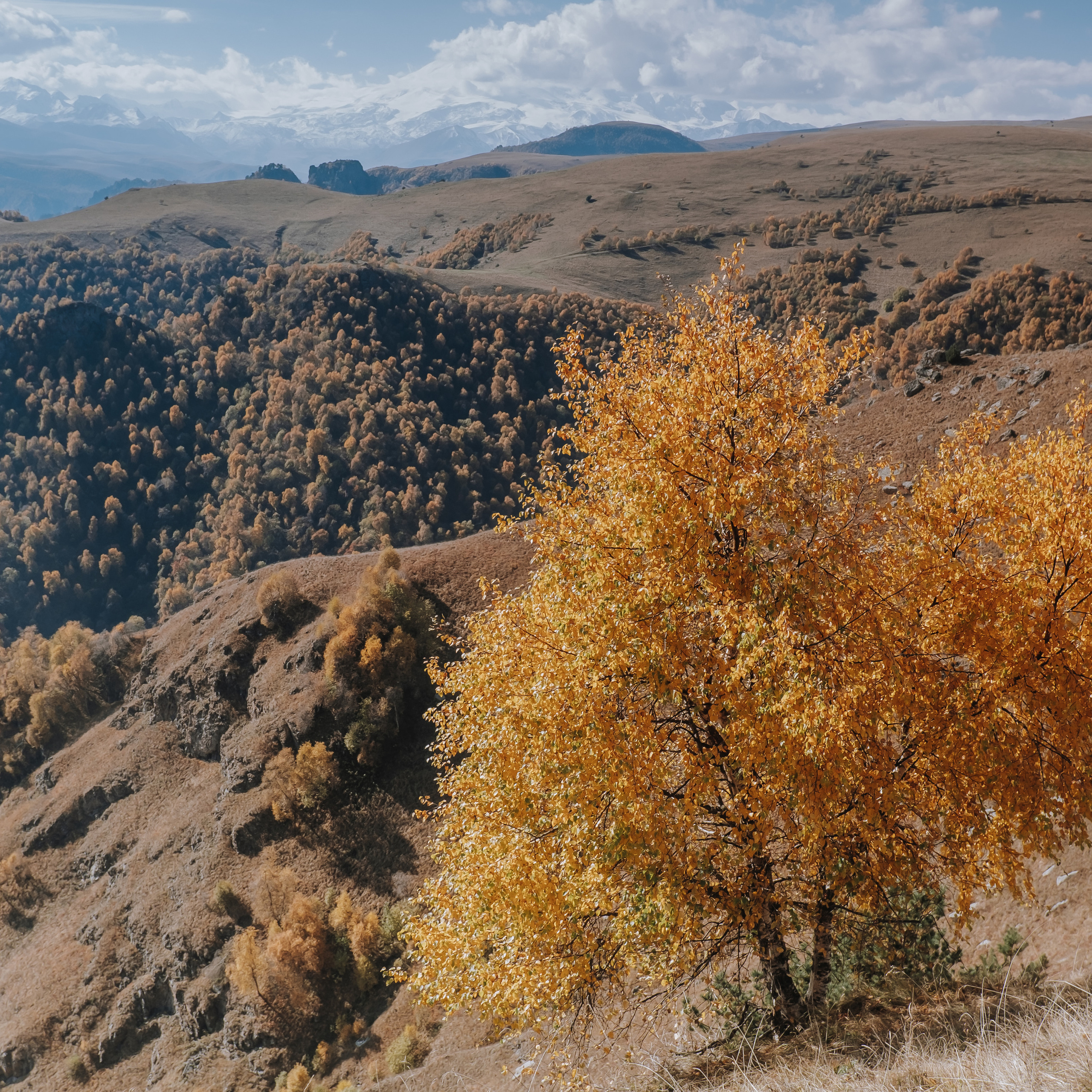 КМВ (октябрь 2021)