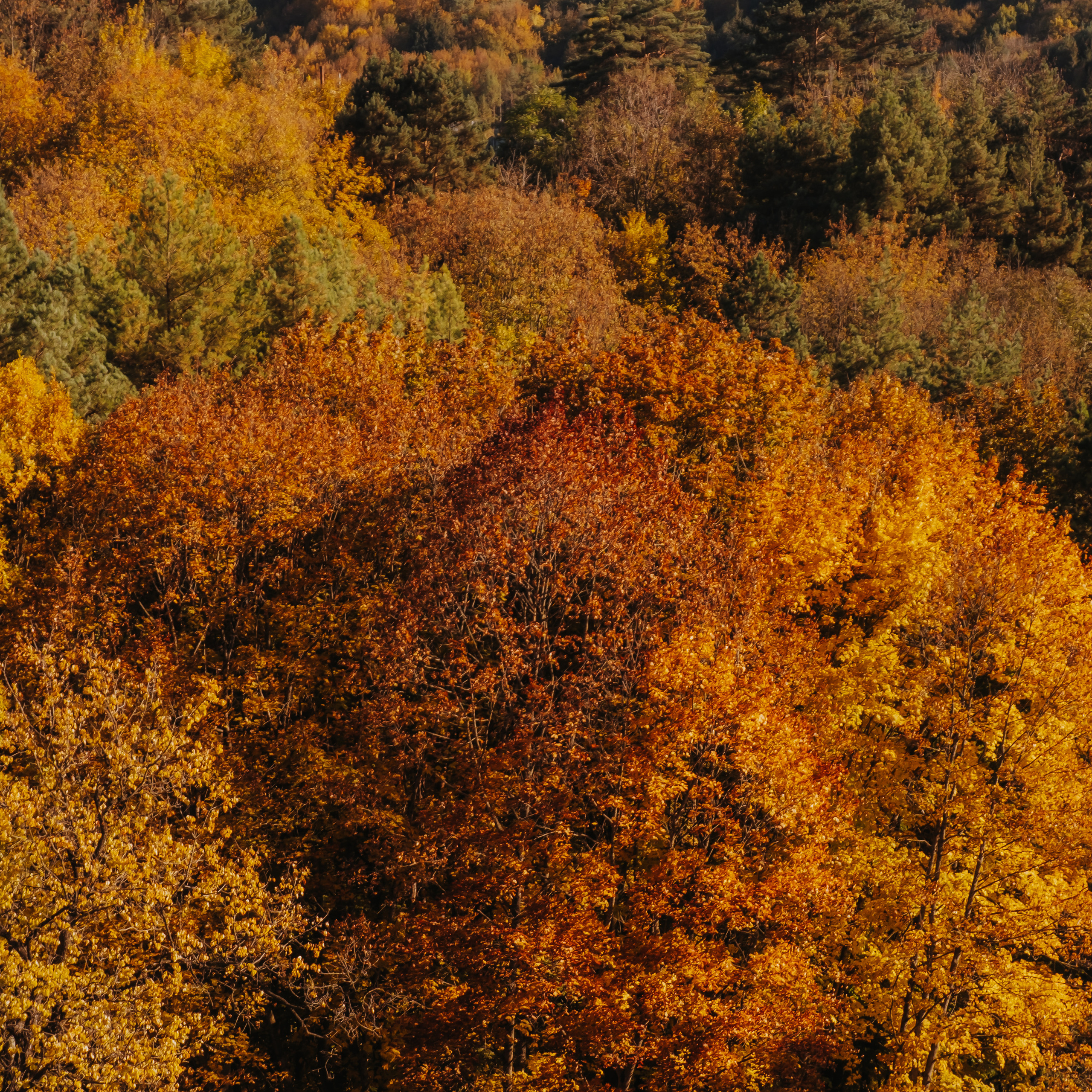 КМВ (октябрь 2021)