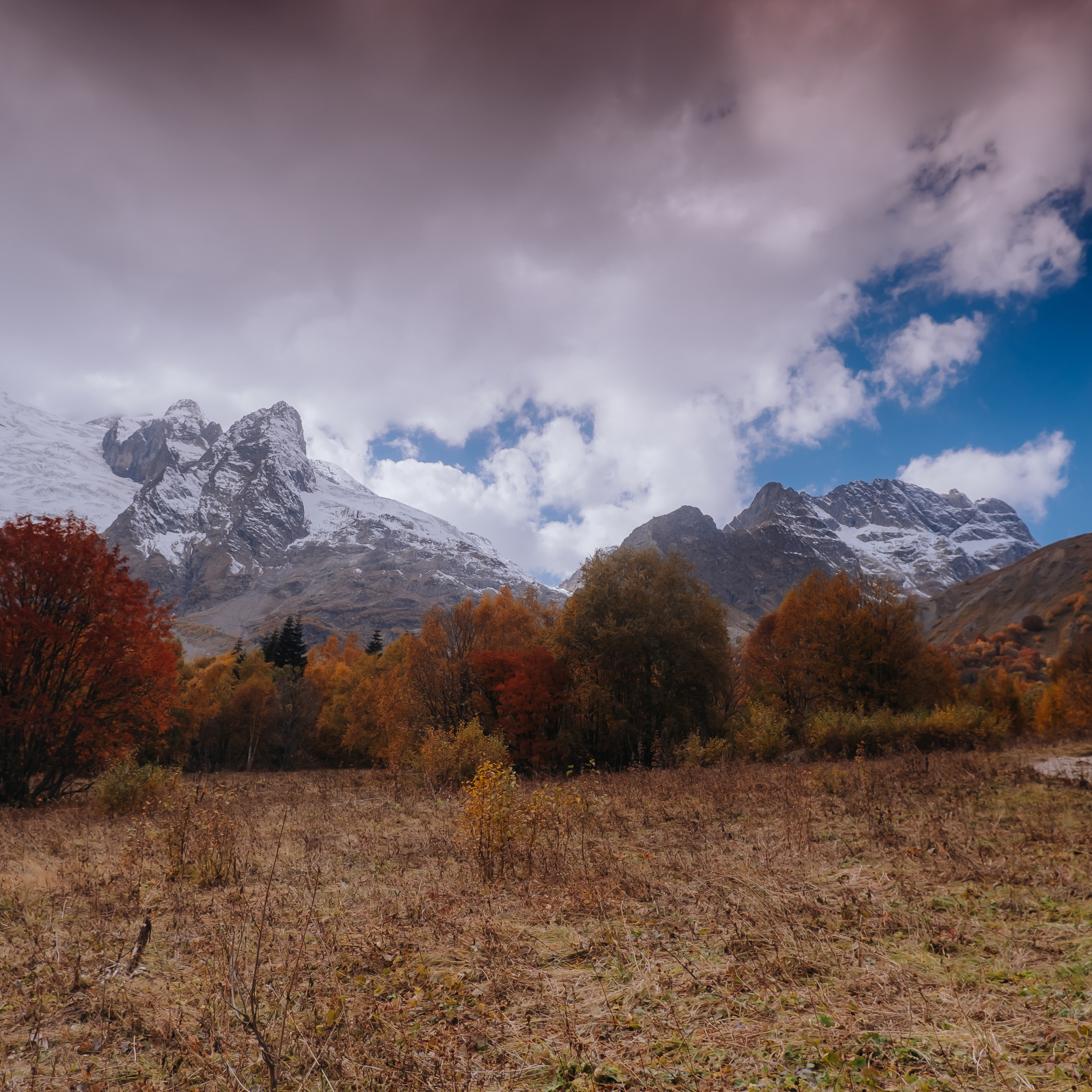 КМВ (октябрь 2021)