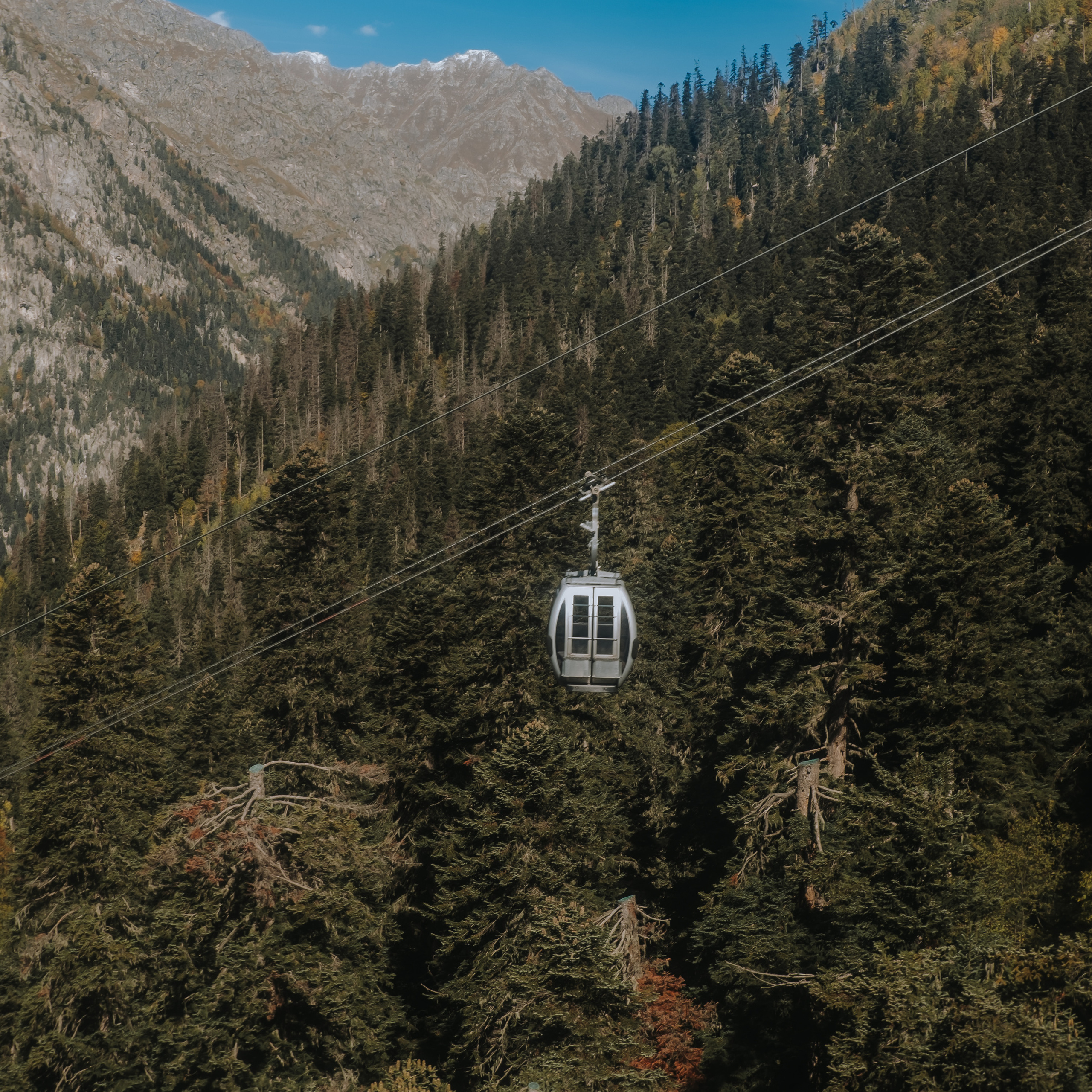 КМВ (октябрь 2021)