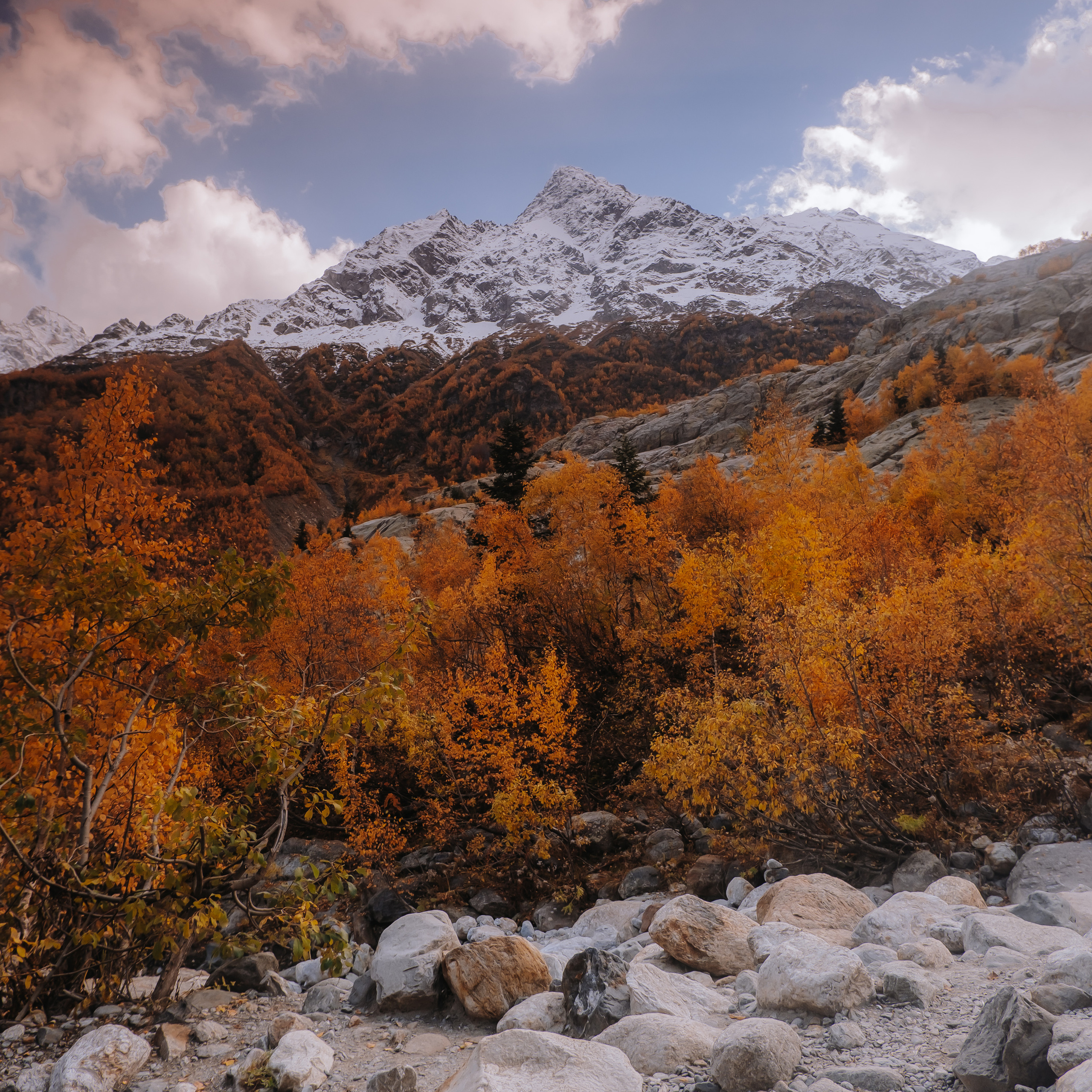 КМВ (октябрь 2021)