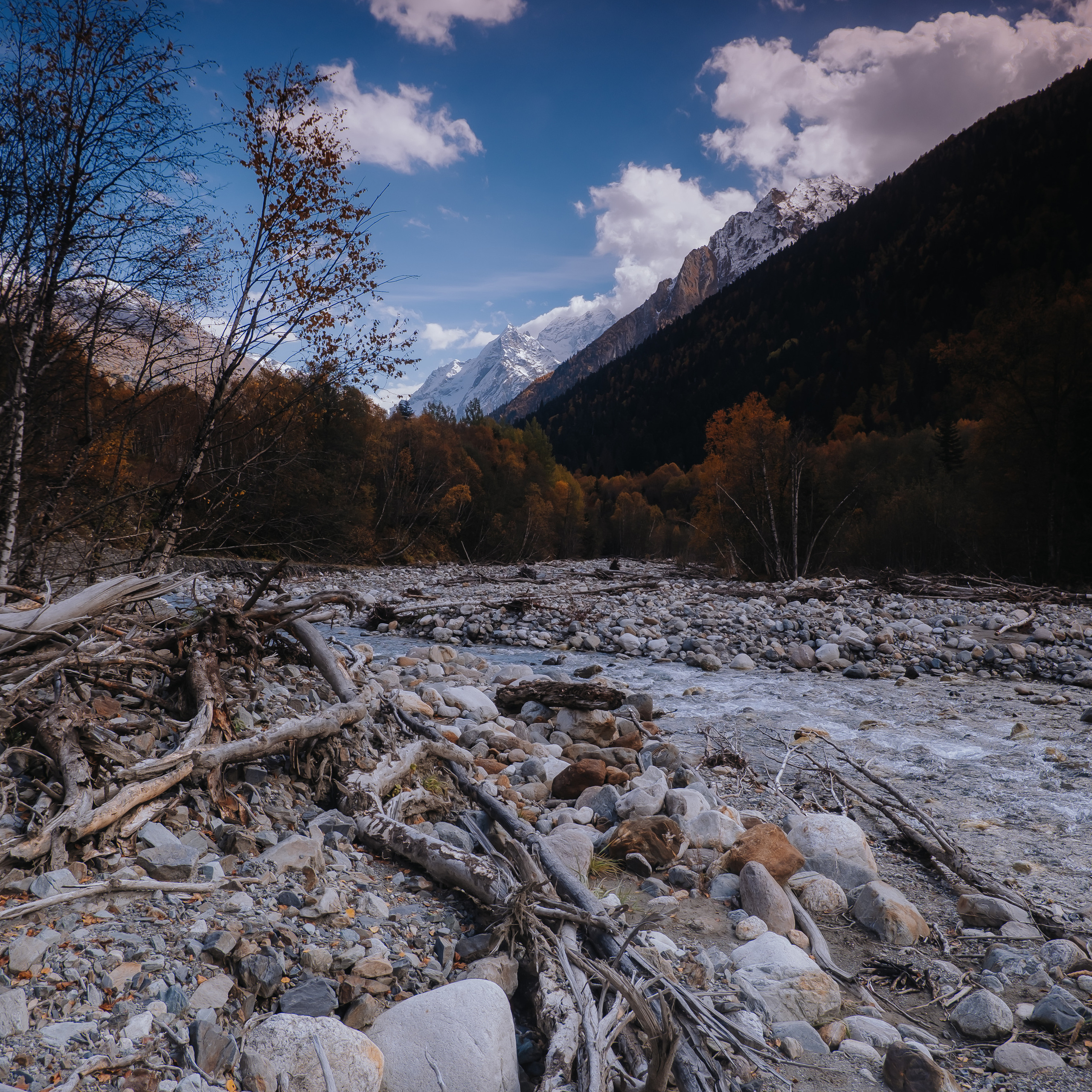 КМВ (октябрь 2021)