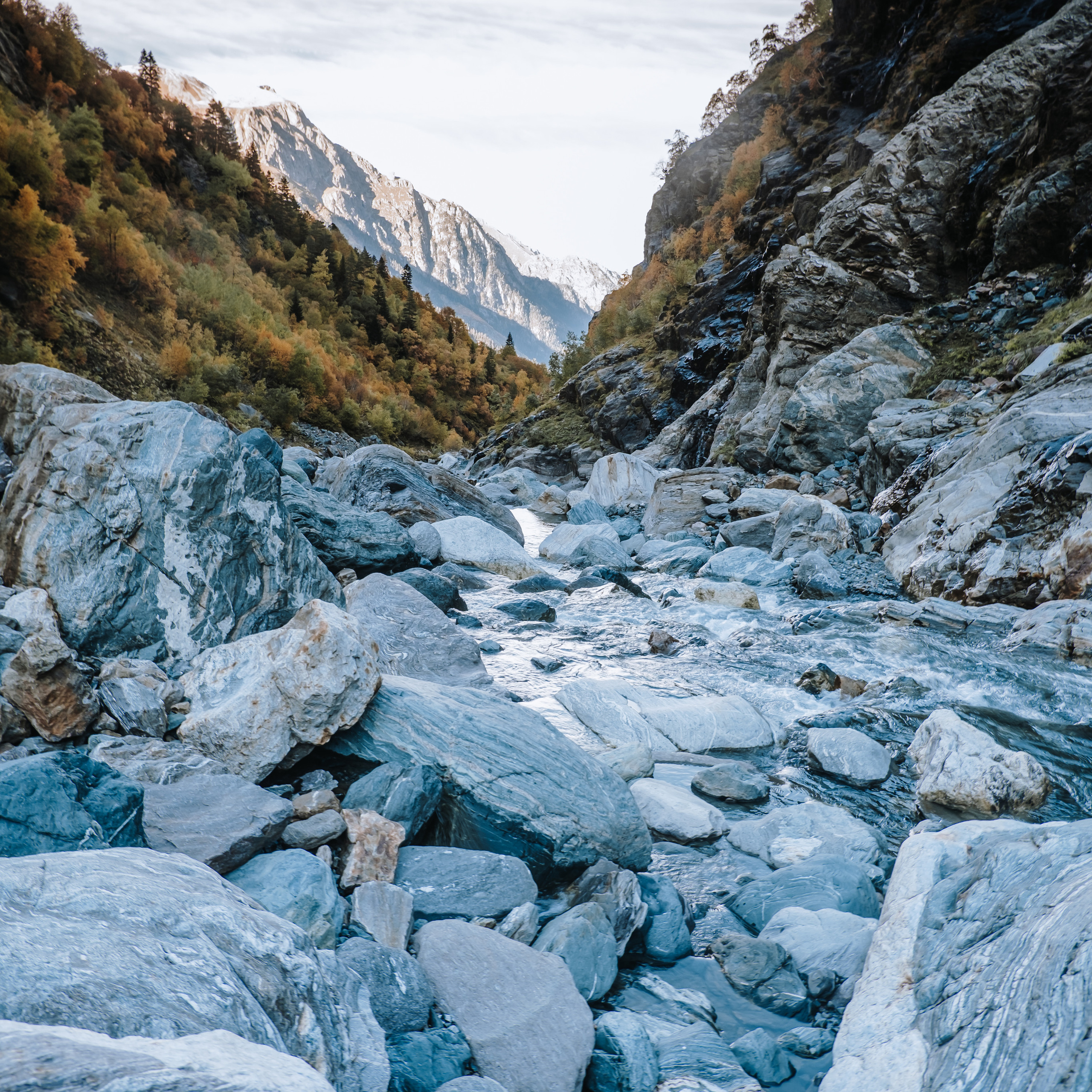 КМВ (октябрь 2021)