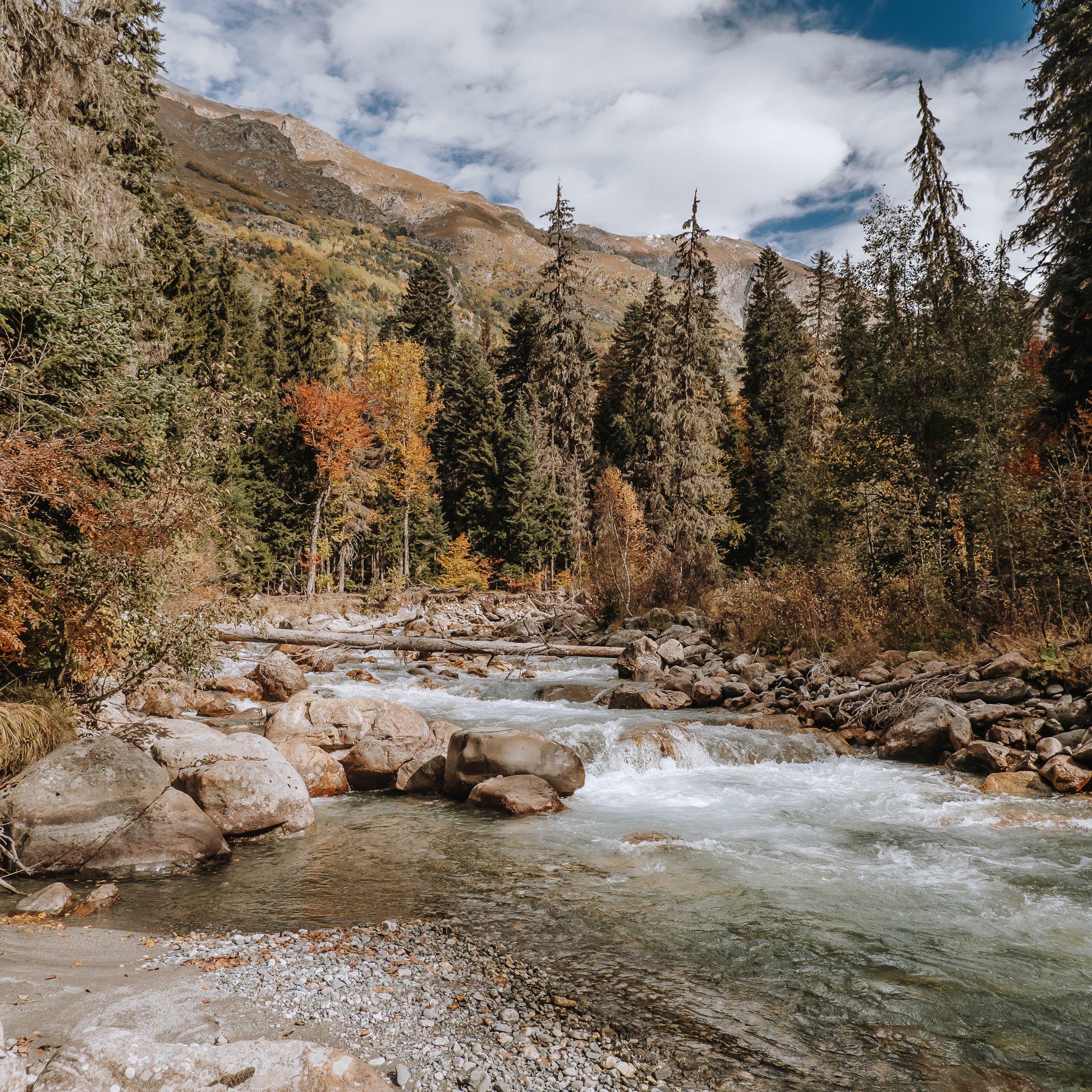 КМВ (октябрь 2021)