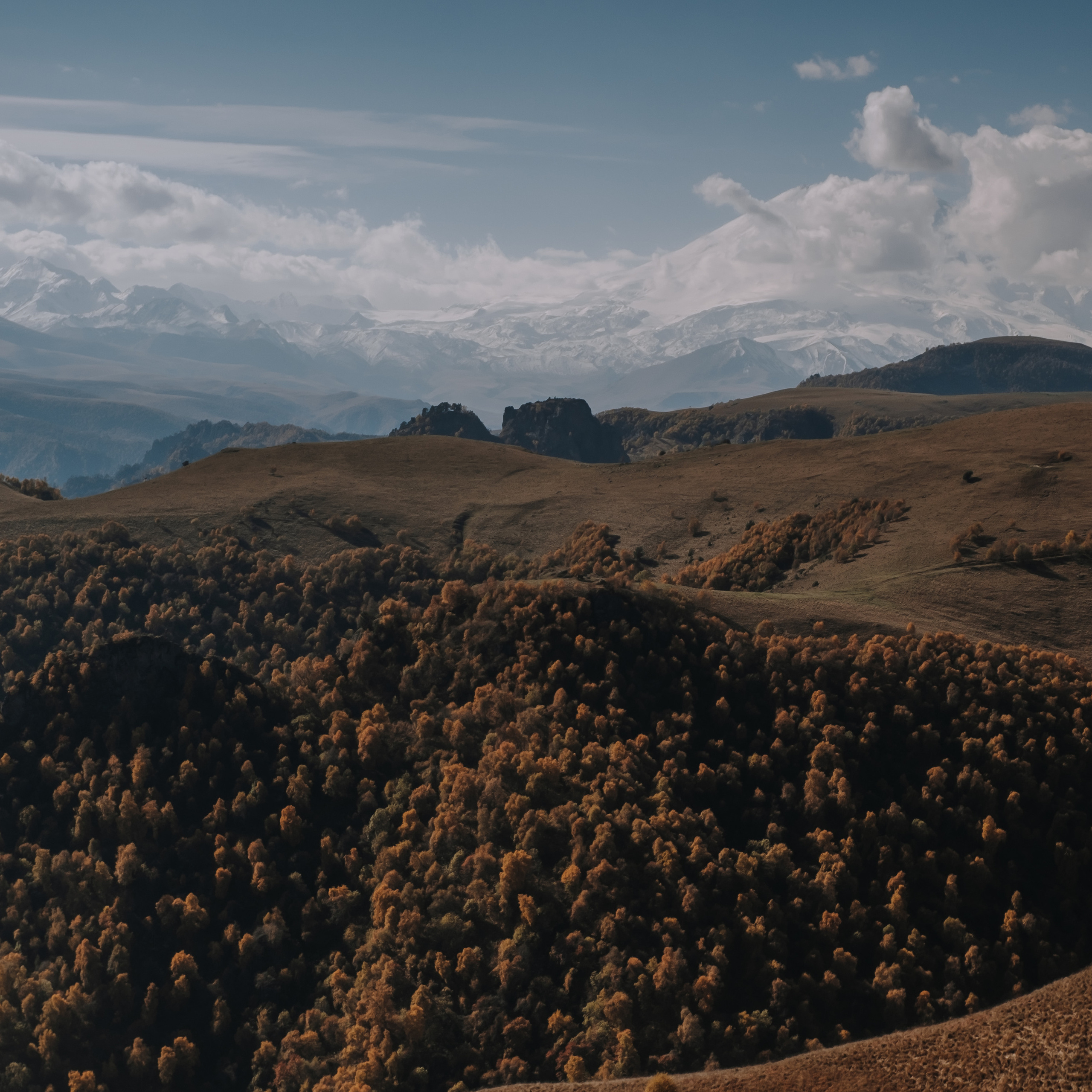 КМВ (октябрь 2021)