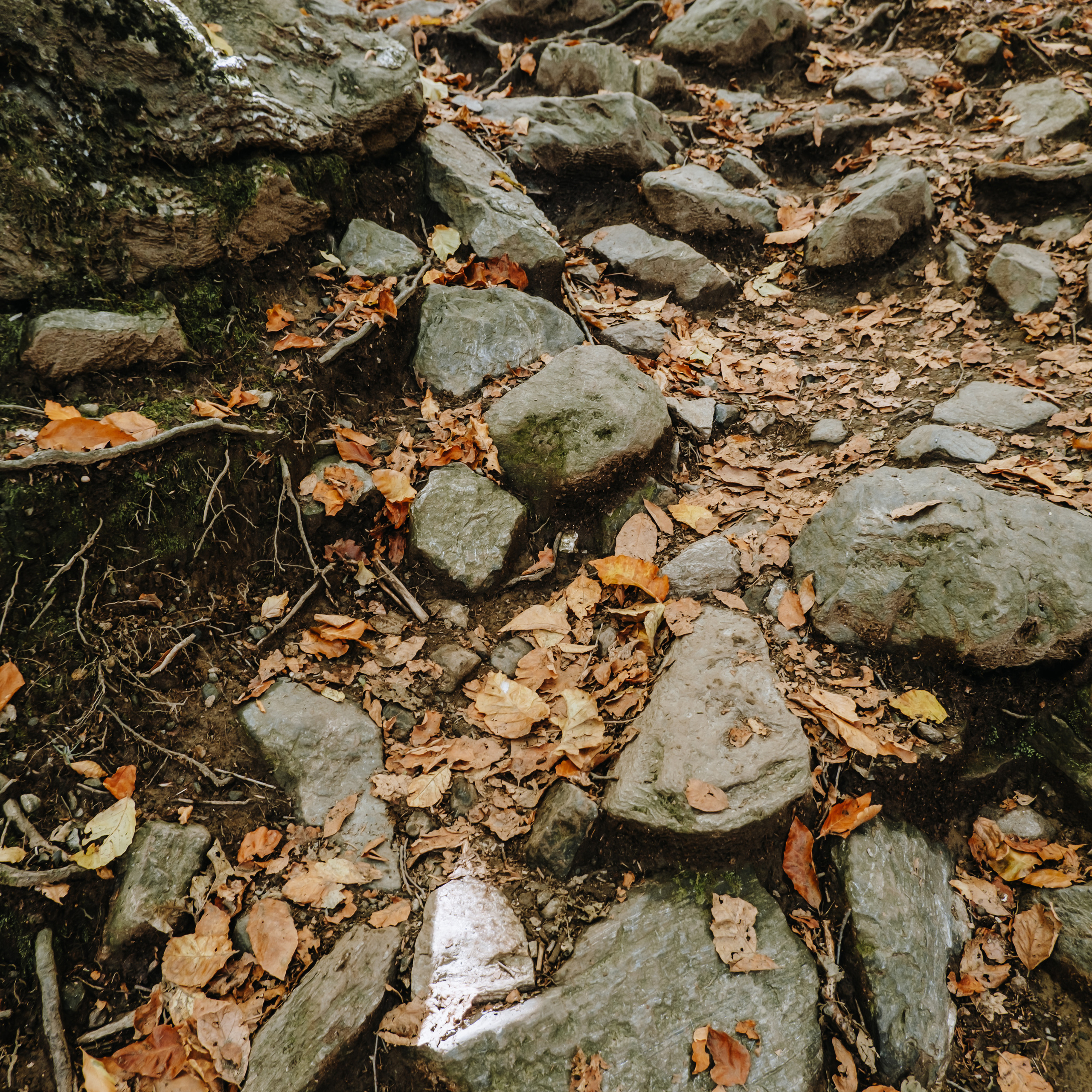 КМВ (октябрь 2021)