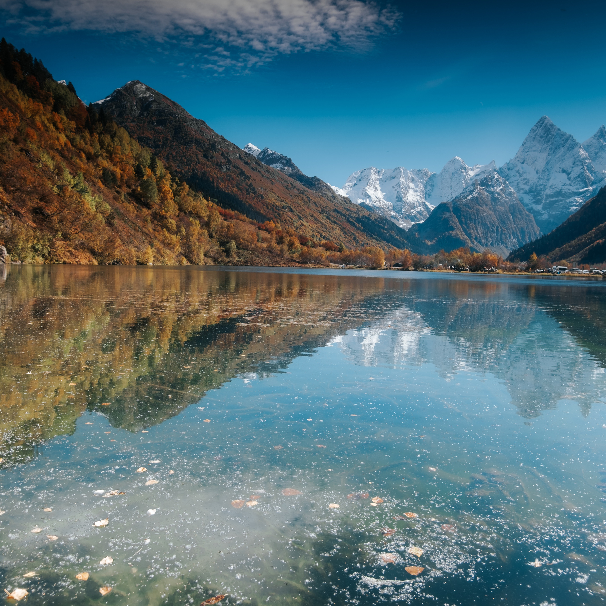 КМВ (октябрь 2021)