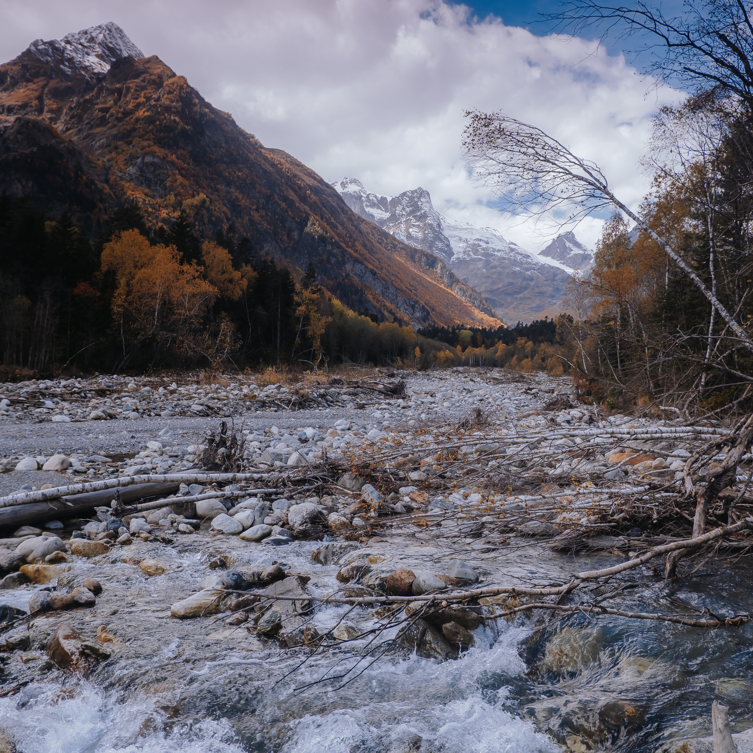 КМВ (октябрь 2021)