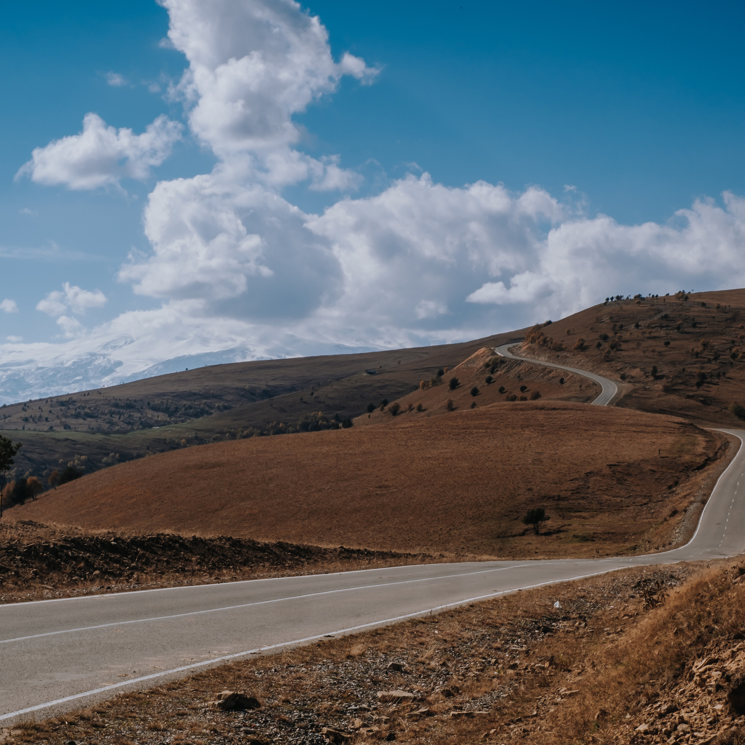 КМВ (октябрь 2021)