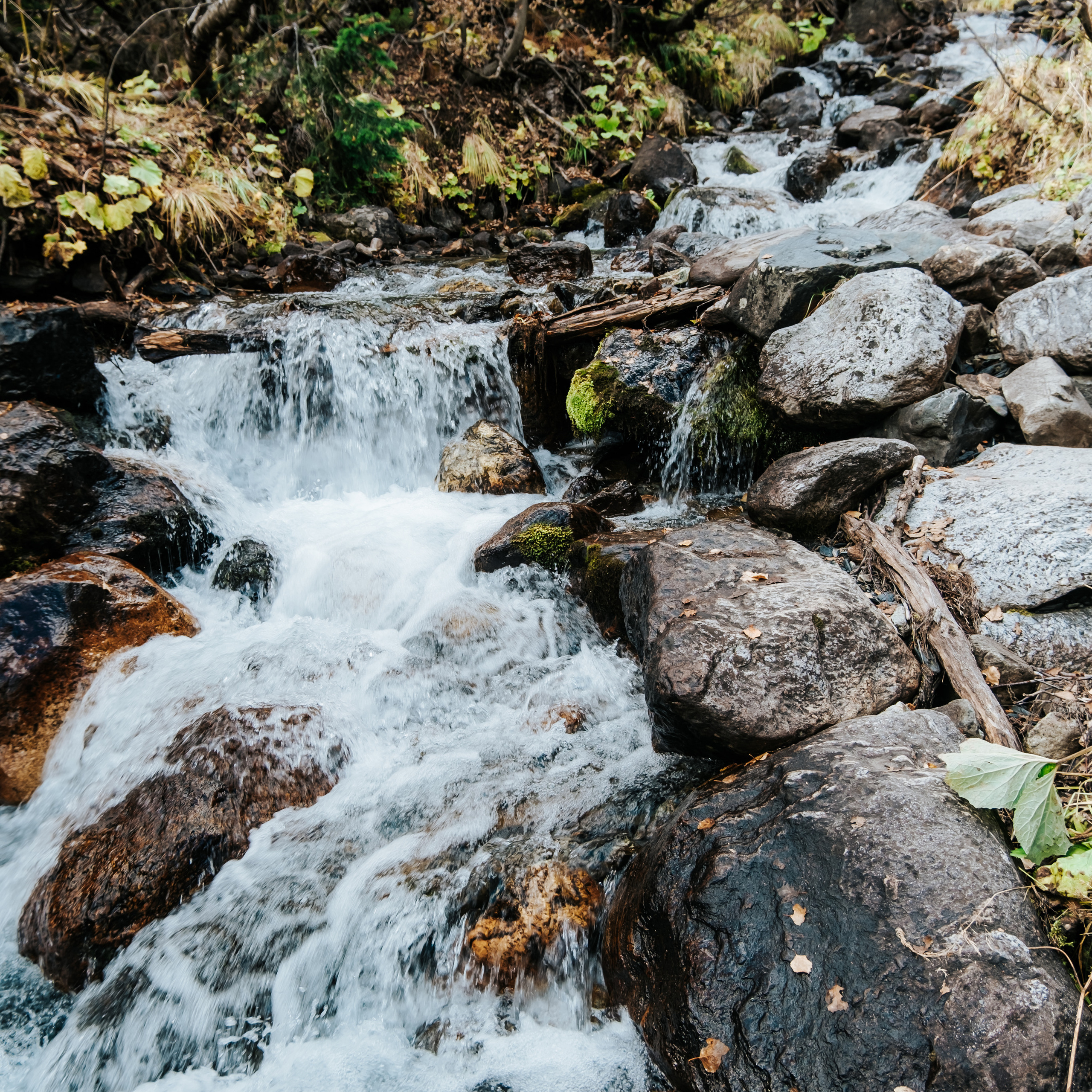 КМВ (октябрь 2021)