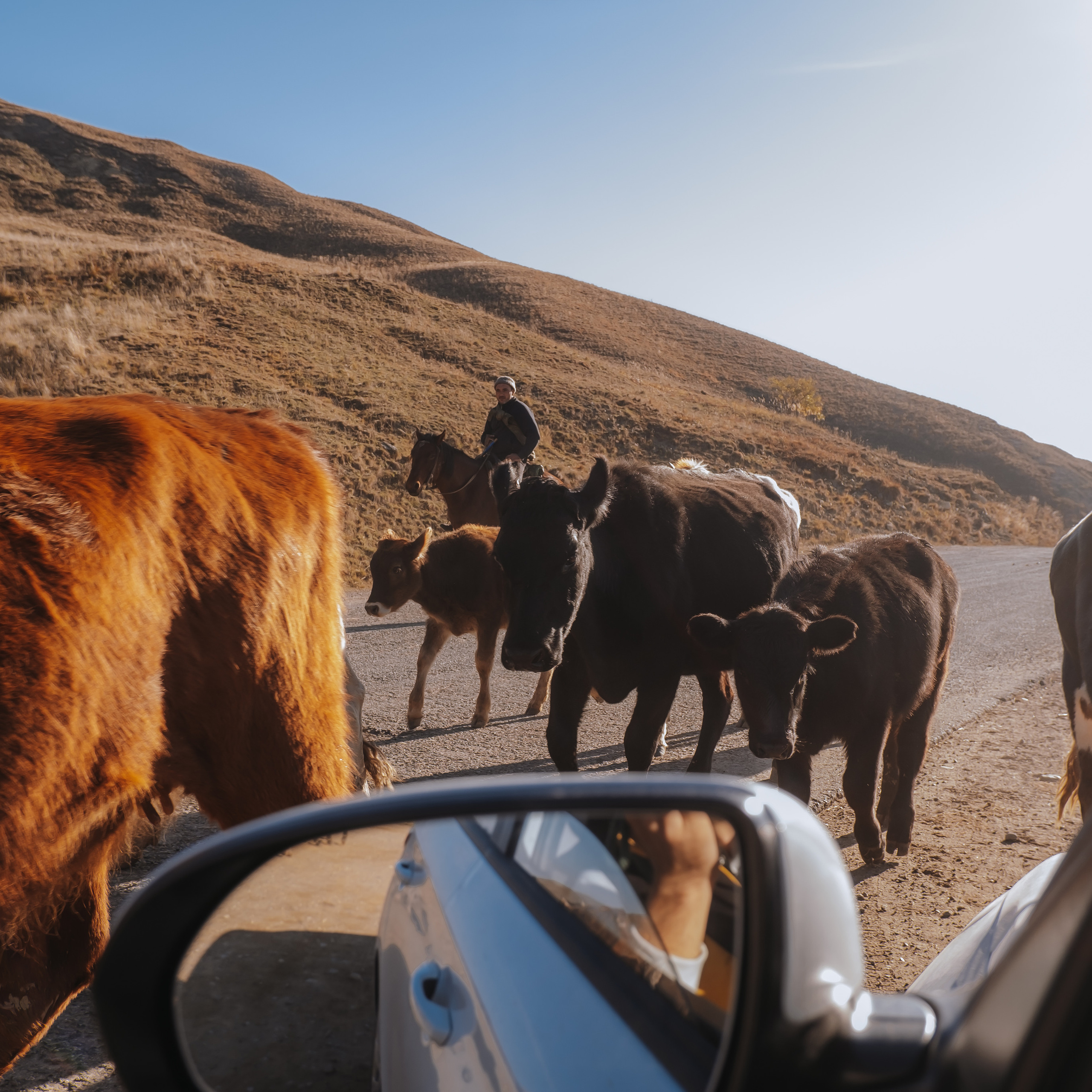 КМВ (октябрь 2021)