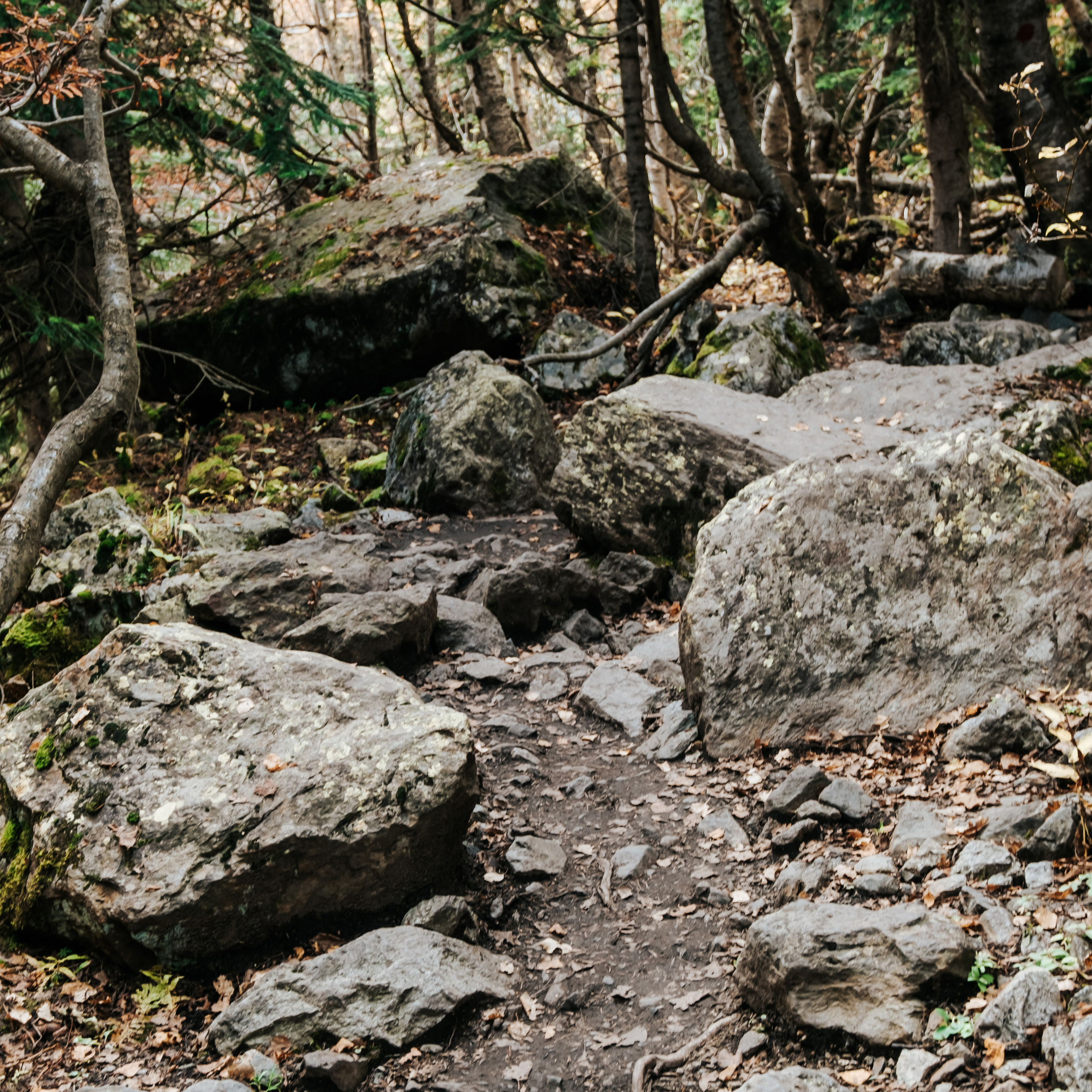 КМВ (октябрь 2021)