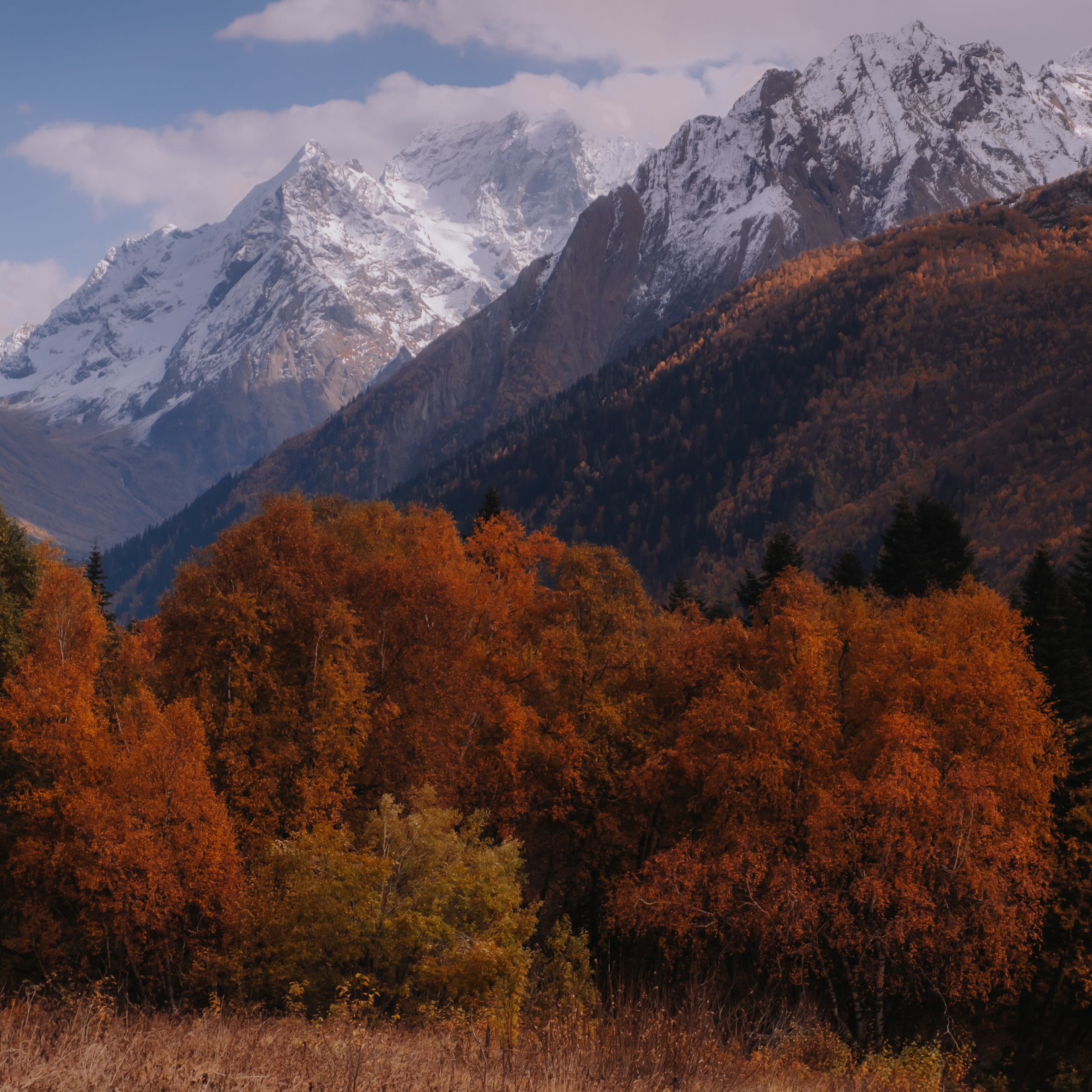 КМВ (октябрь 2021)