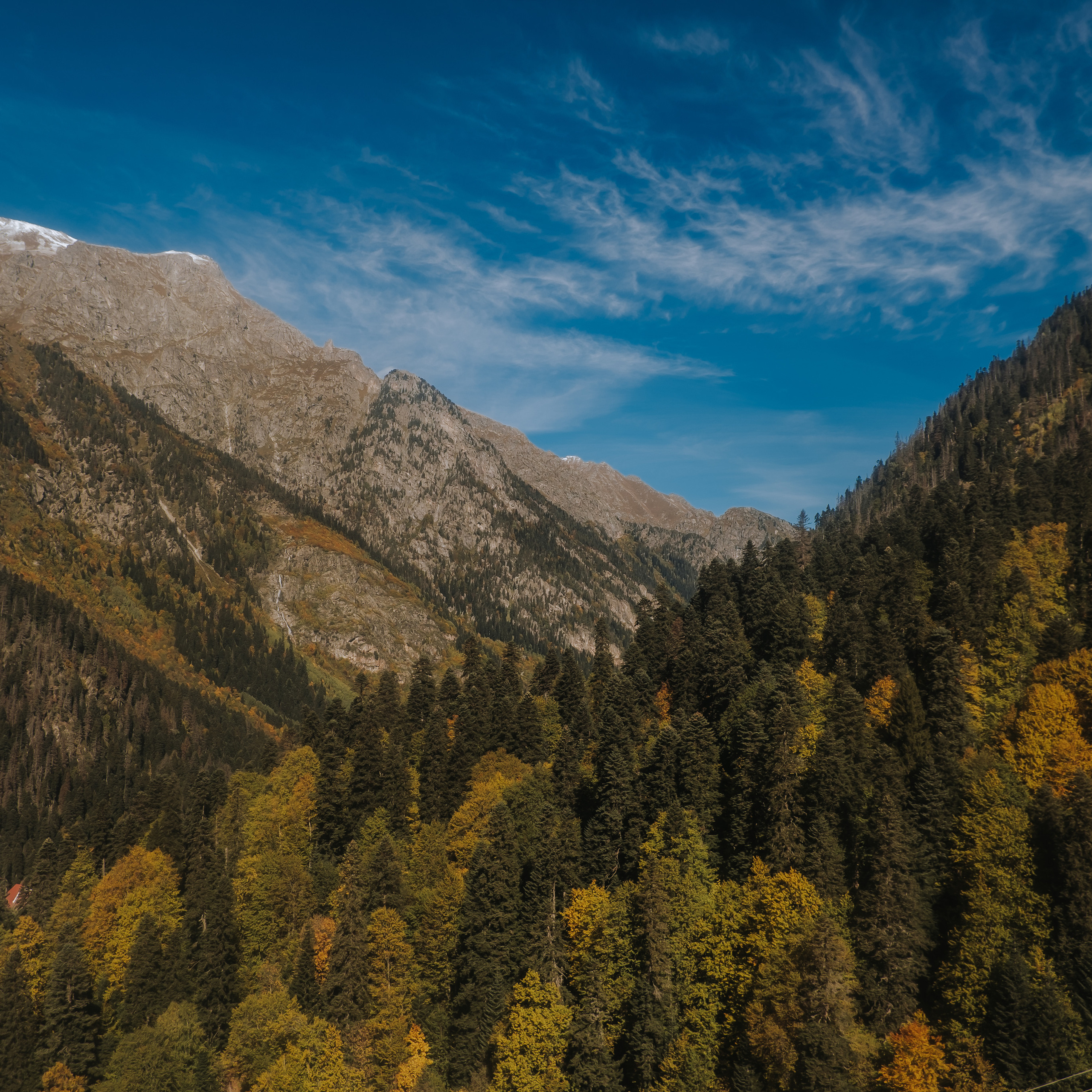 КМВ (октябрь 2021)