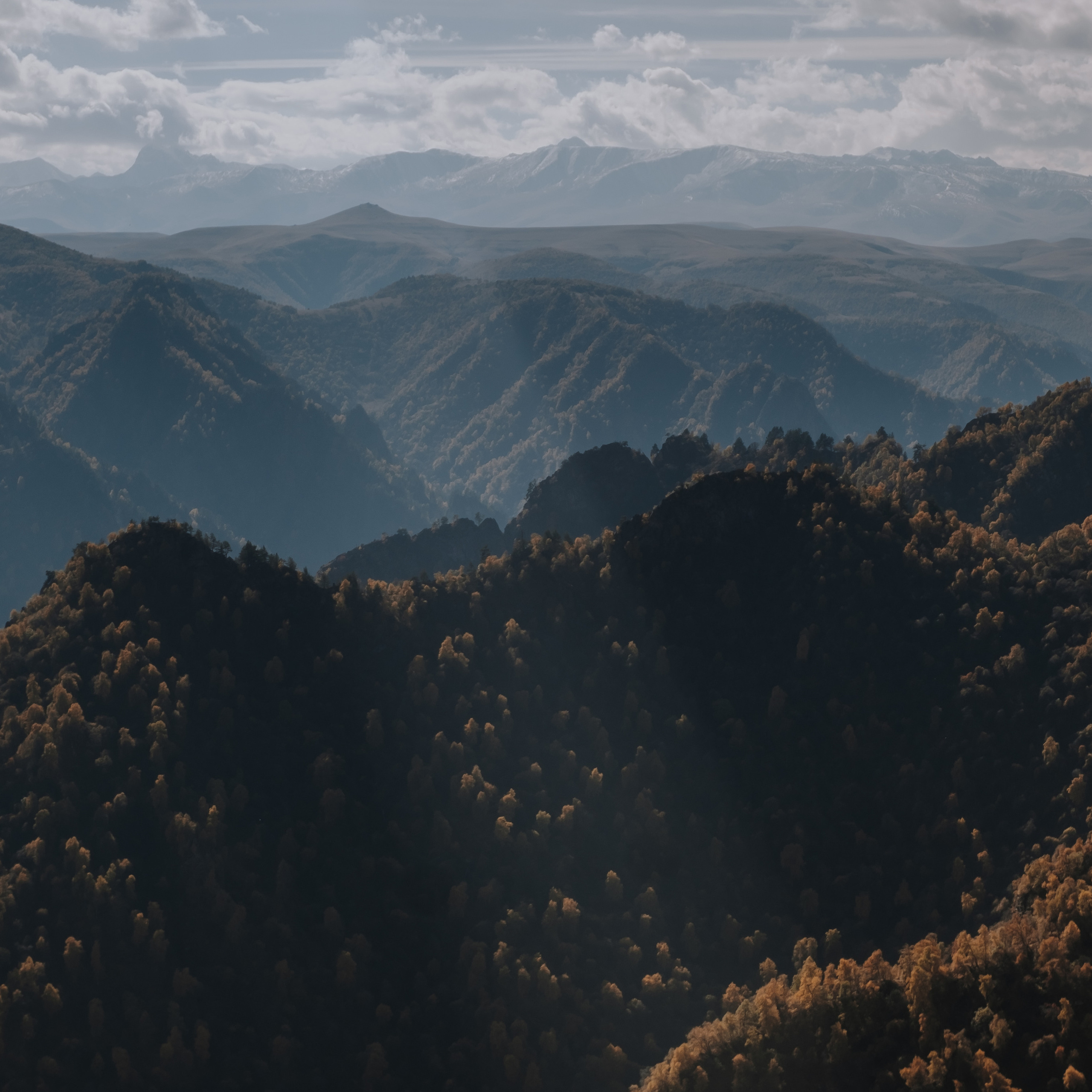 КМВ (октябрь 2021)