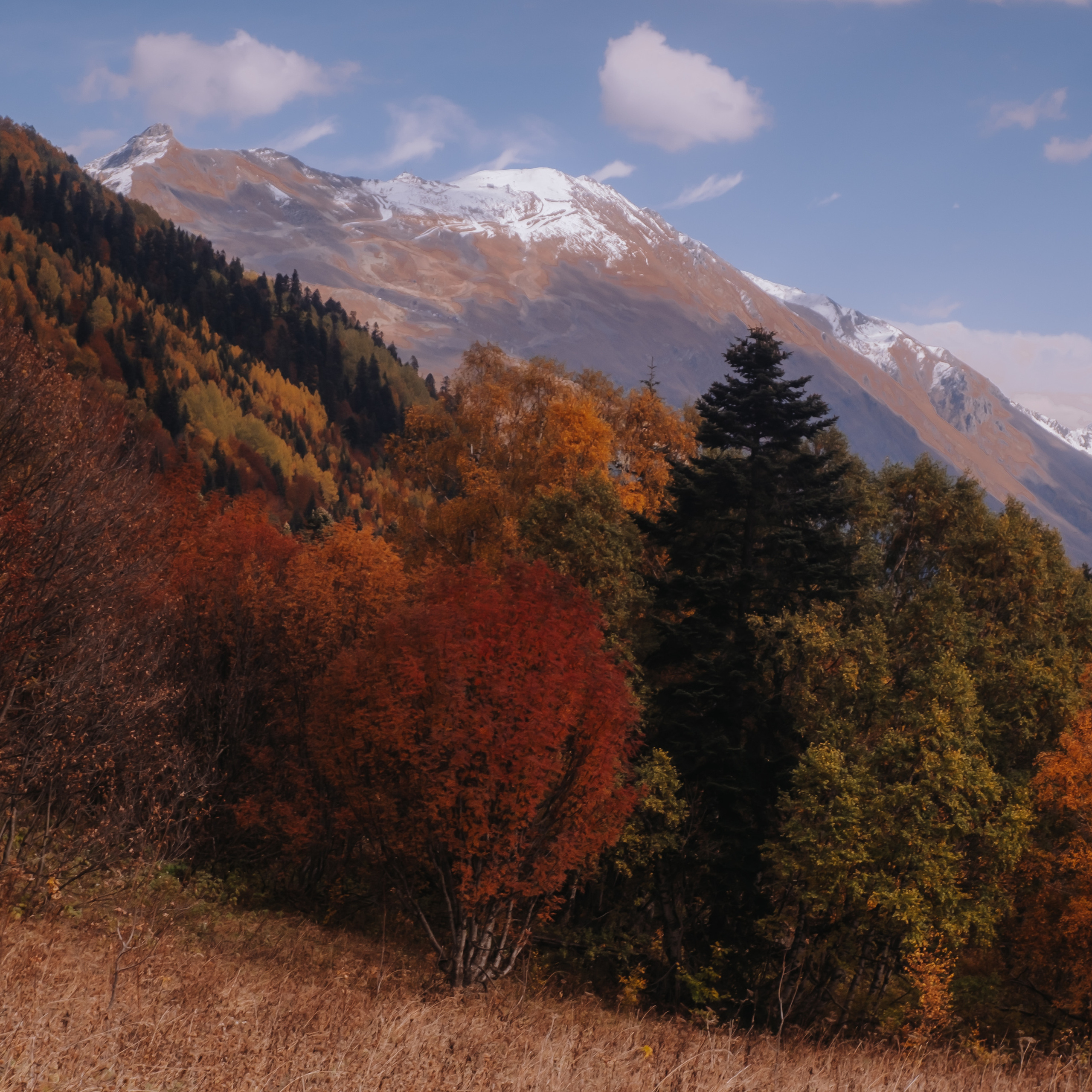 КМВ (октябрь 2021)